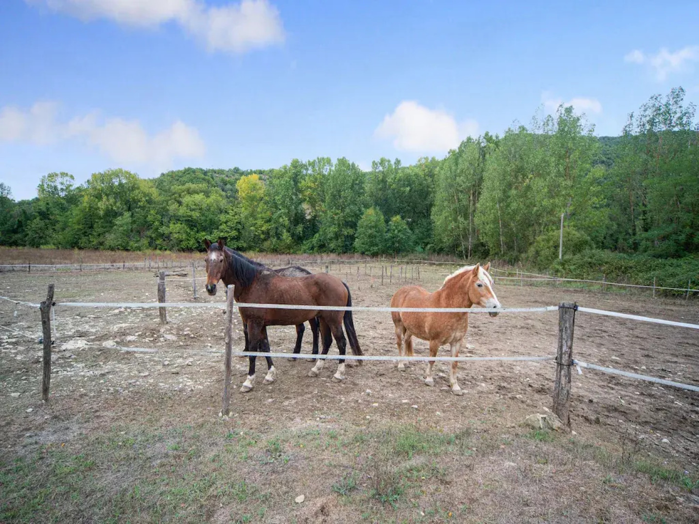 Holiday Home in Ficulle Near Monte Peglia