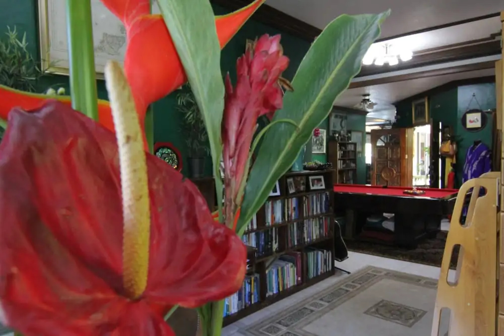 The Wilsons' Shangrila