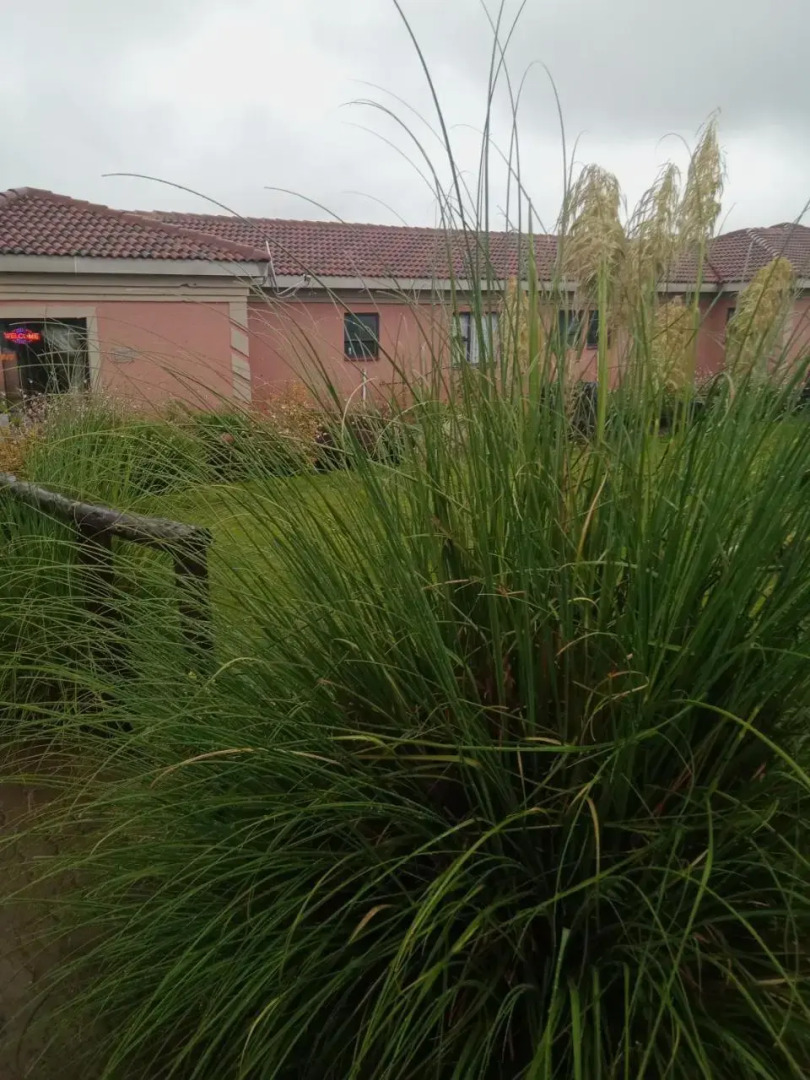 Twilight Breeze Lodge