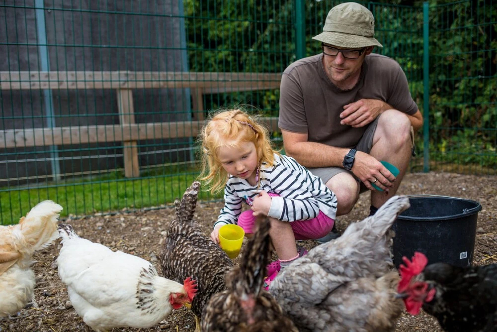 Familien Erlebnishof Büdlfarm