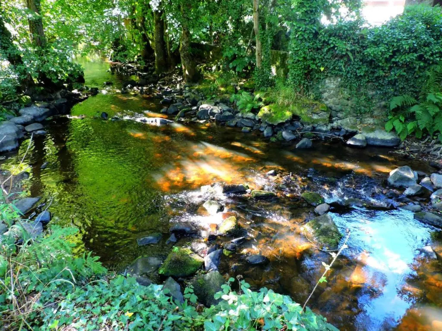 Gîte Alpes Mancelles