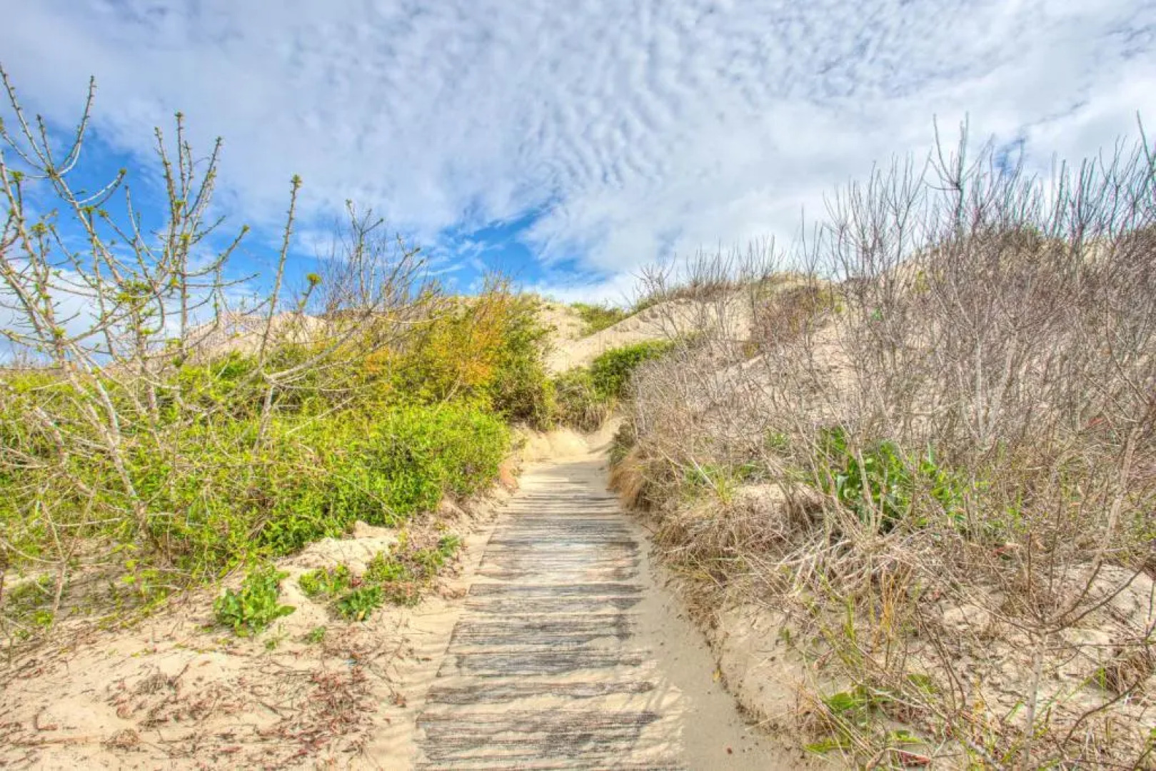1709 Sandbucket Arch Oceanfront