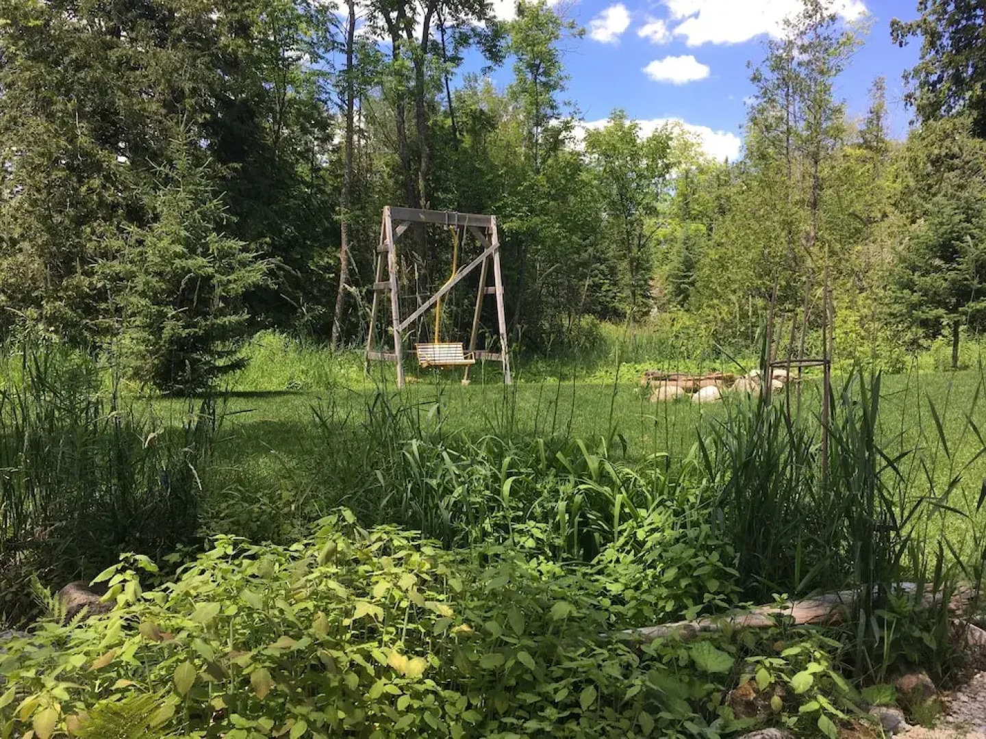 The Treehouse Bed & Breakfast