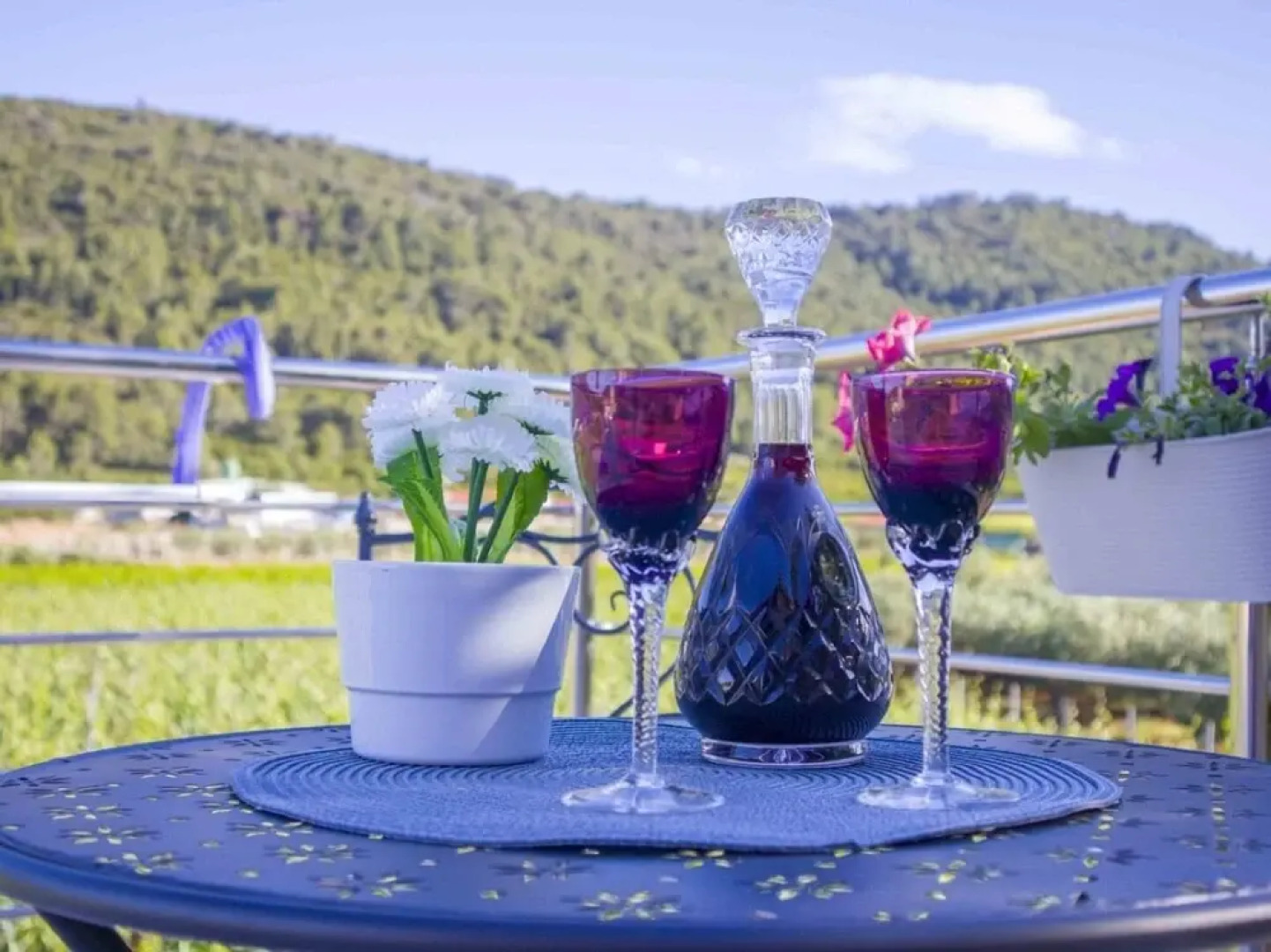 Filip - Vineyard and Large Terrace - SA2 Rozi