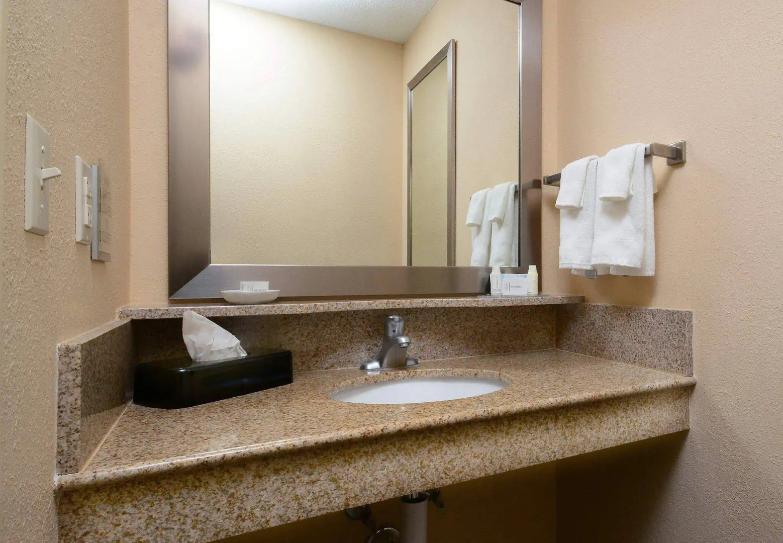 SpringHill Suites by Marriott Lynchburg Airport/University Area