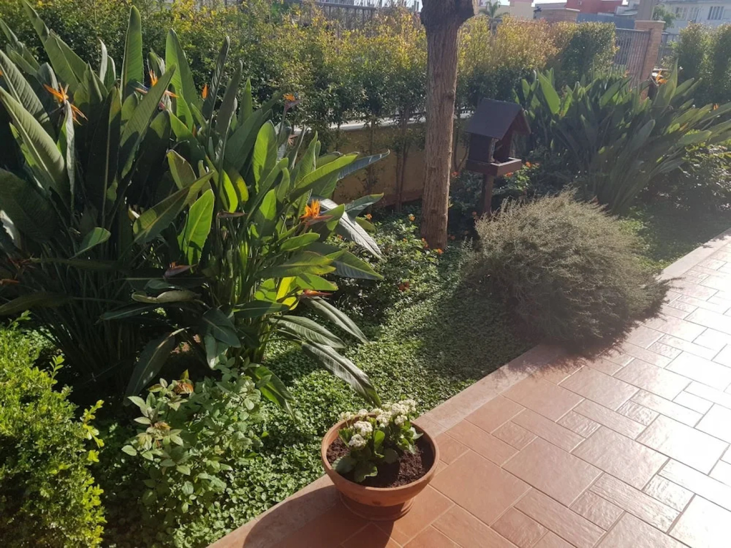 Casa del Musicista Villa Relax