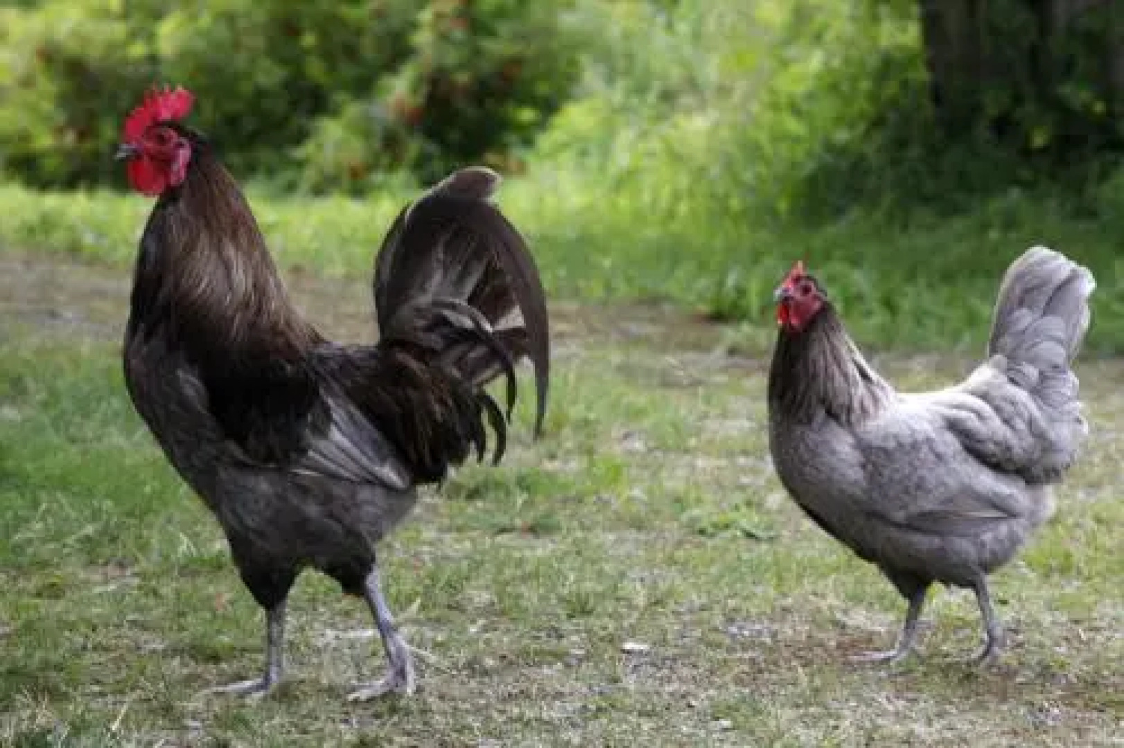 Bed & Breakfast Kuuksenkaari