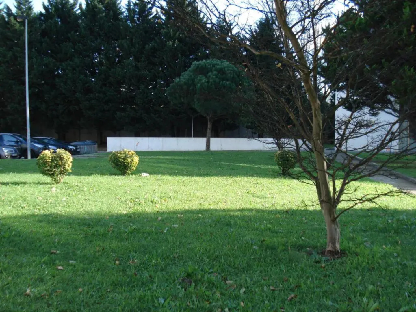 Porto D´Ouro Apartments