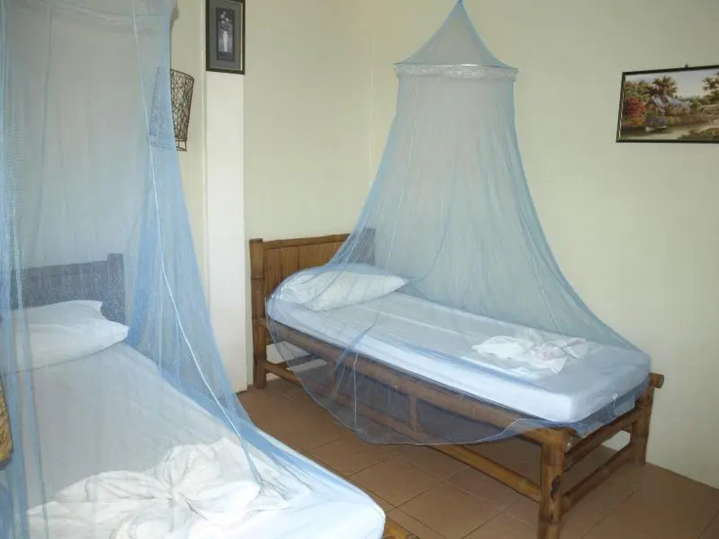 The Sharks Tail Dive Center