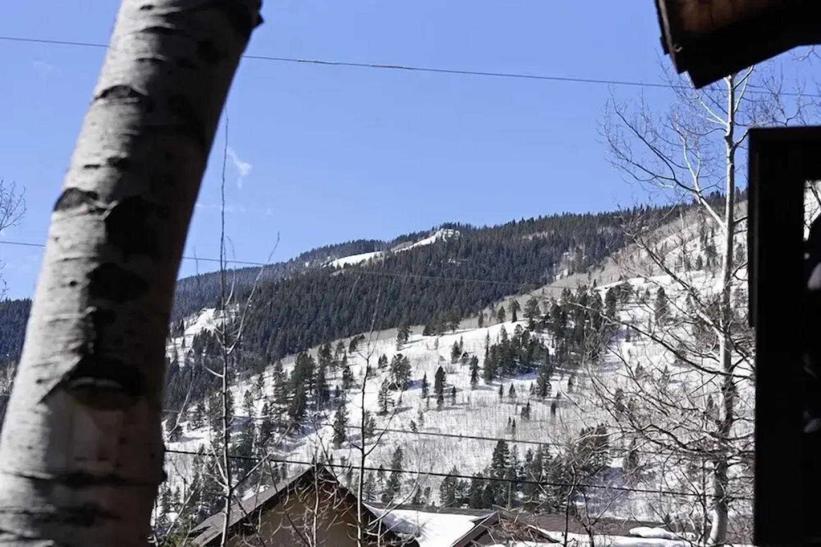 37 Mountain Laurel Drive Studio W/Yard Home