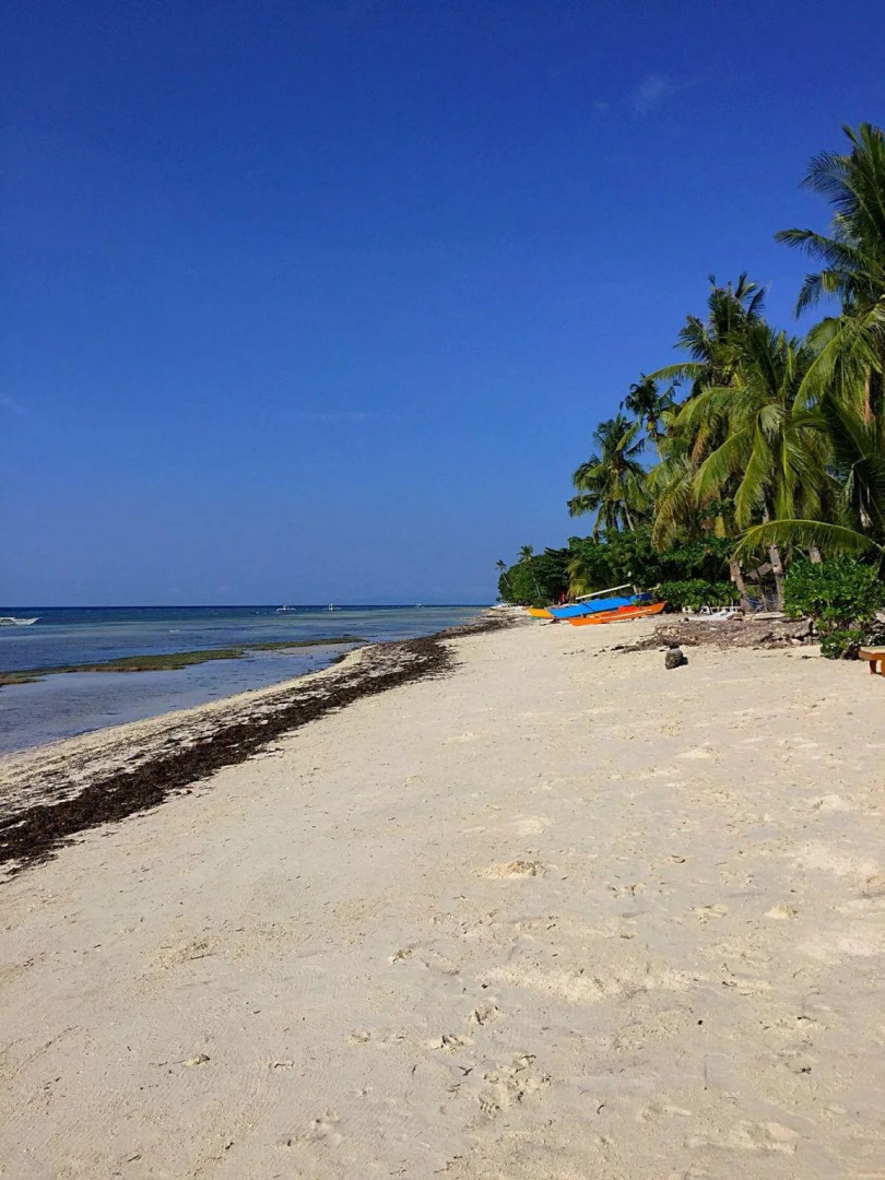 Bohol Coco Farm - Adults Only Hostel