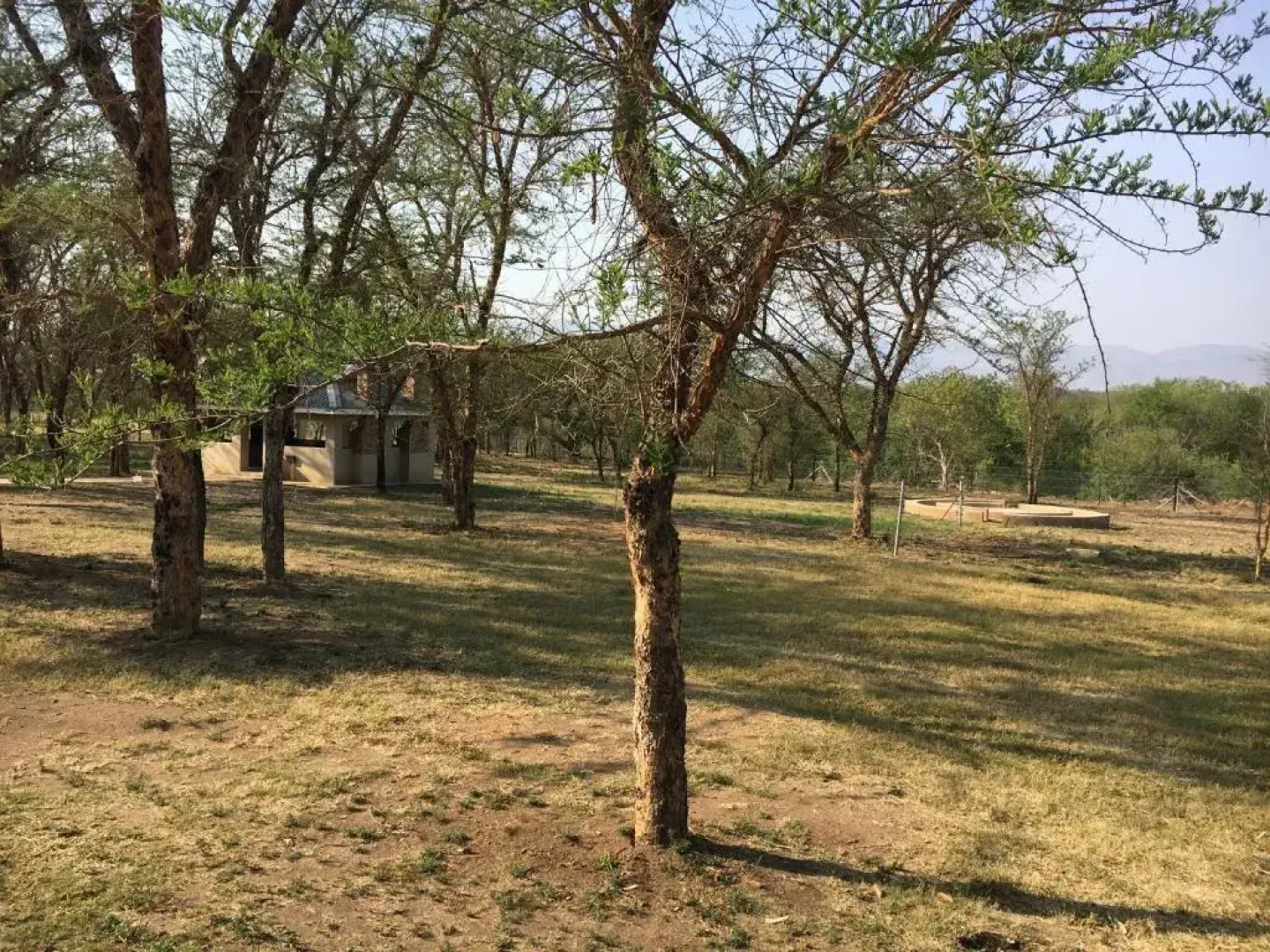 African Rest Lodge