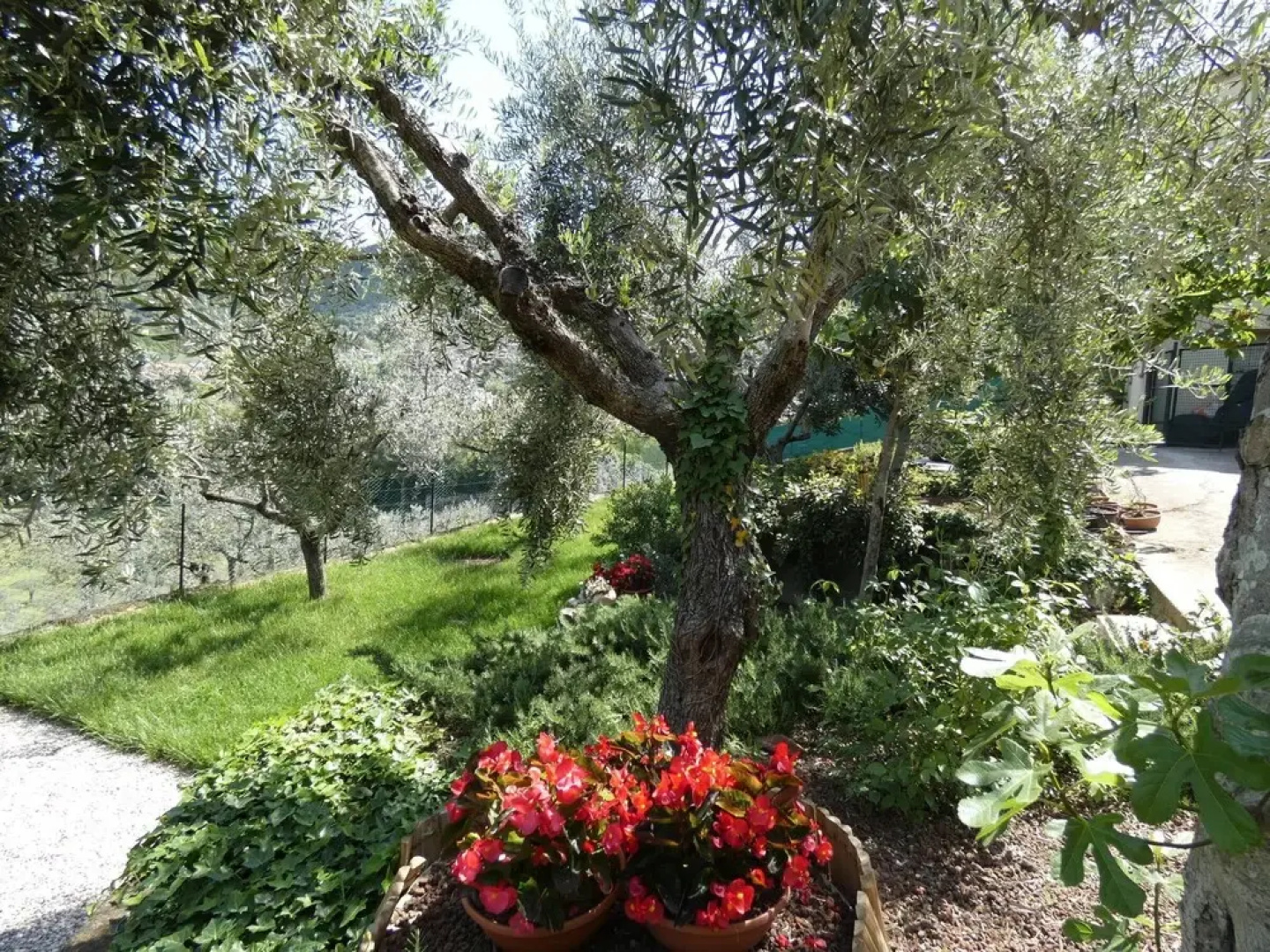 Scappo In Umbria, La Casa Di Giuliana