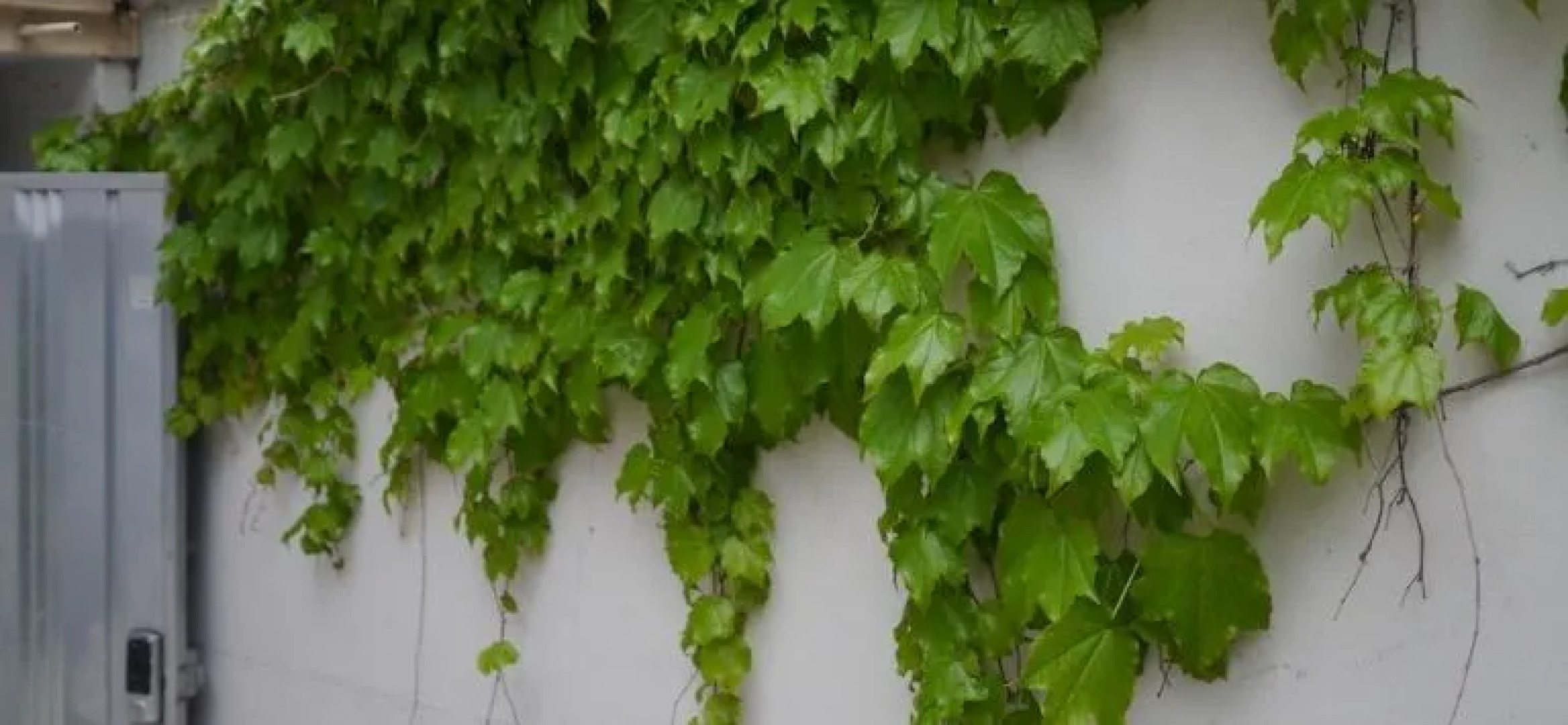 Suncheon guesthouse Namdo