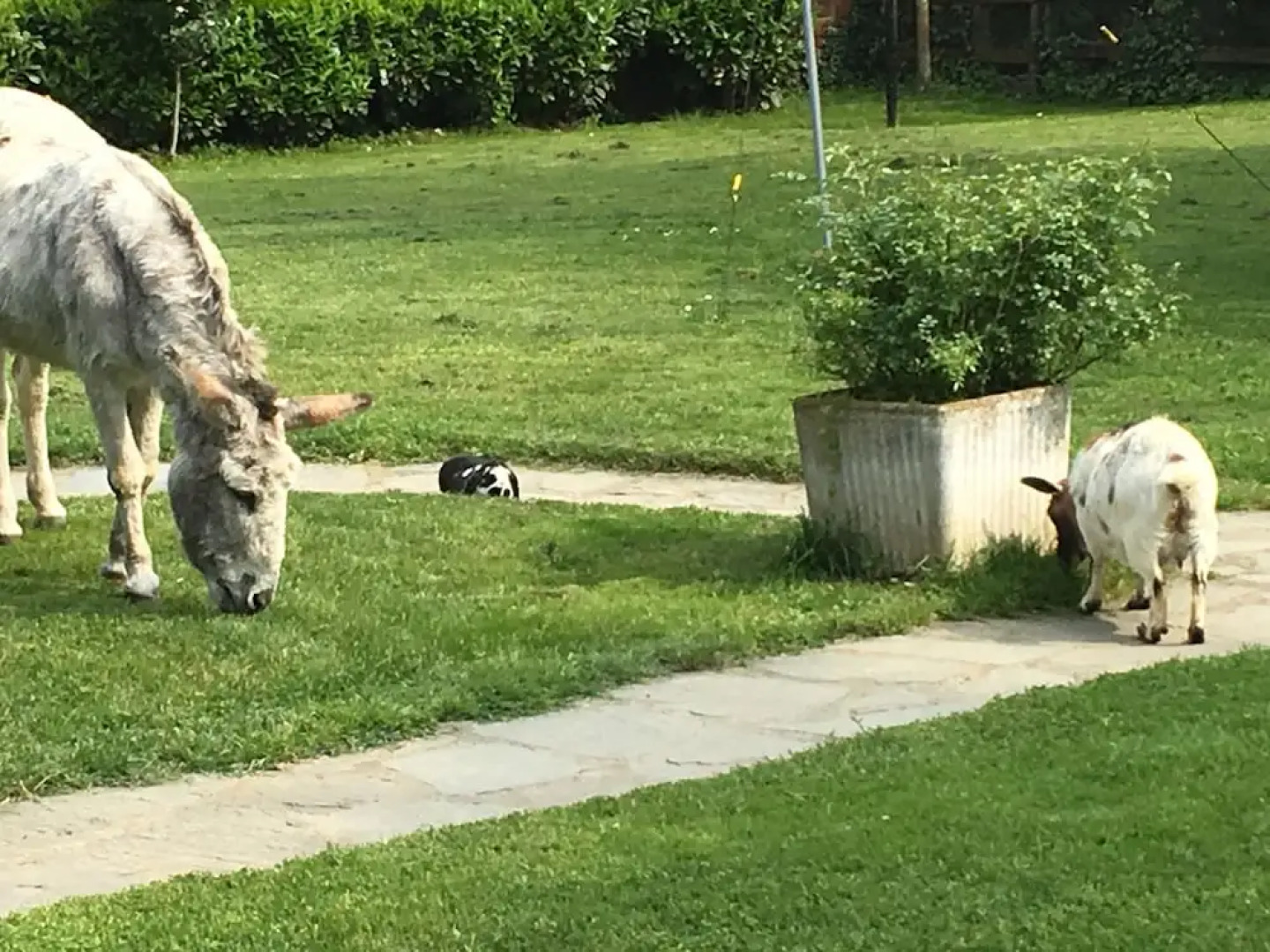 Il Trattore Bed & Breakfast