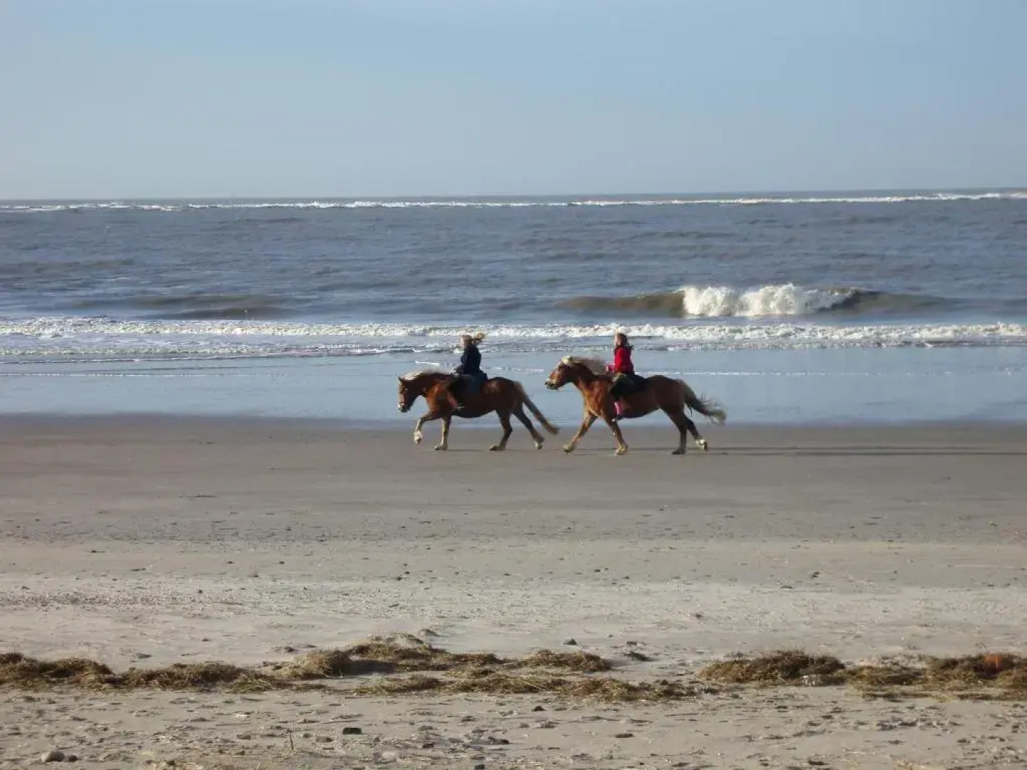 Seevilla Wietjes Whg 5