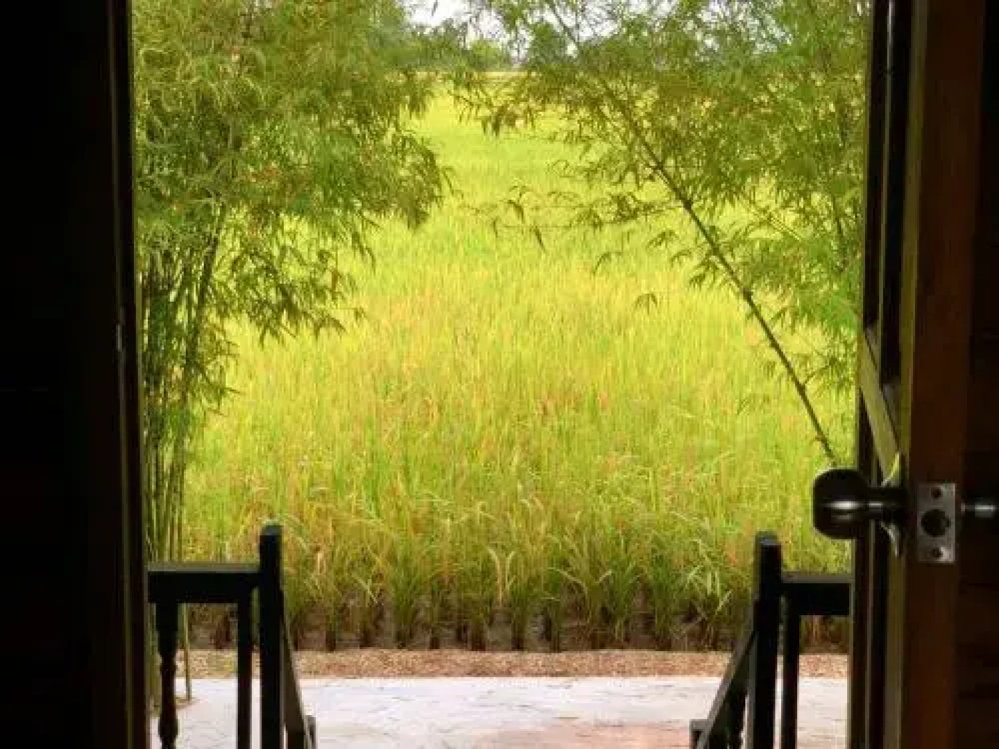 Eat-Sleep-Paddy-Repeat! Country Luxury @ Dorani