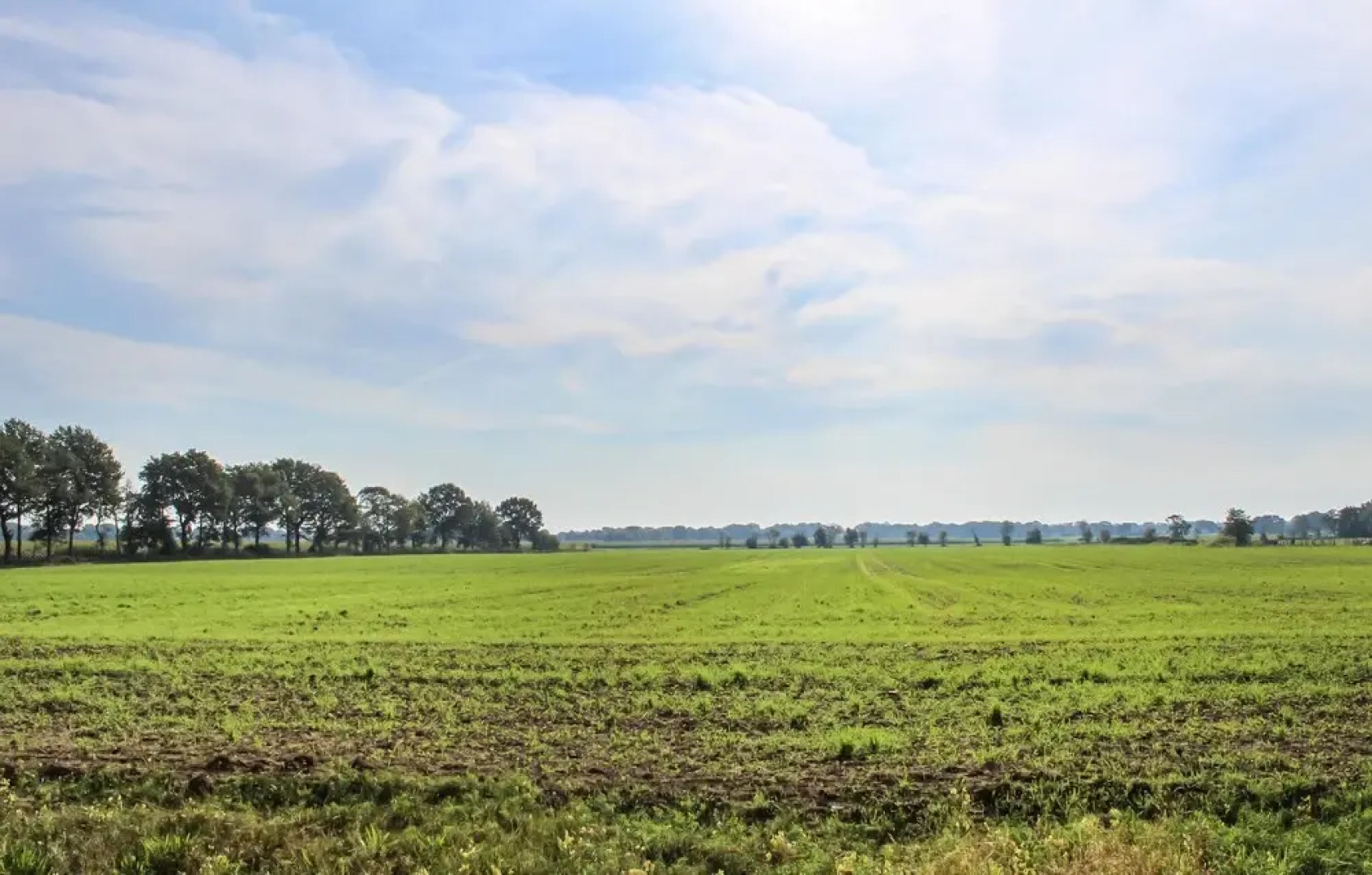 Awesome Apartment in Bockhorn With Wifi and 1 Bedrooms