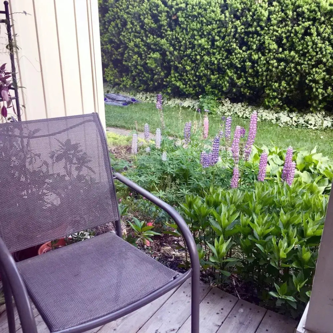 The Butter Barn Bed & Breakfast