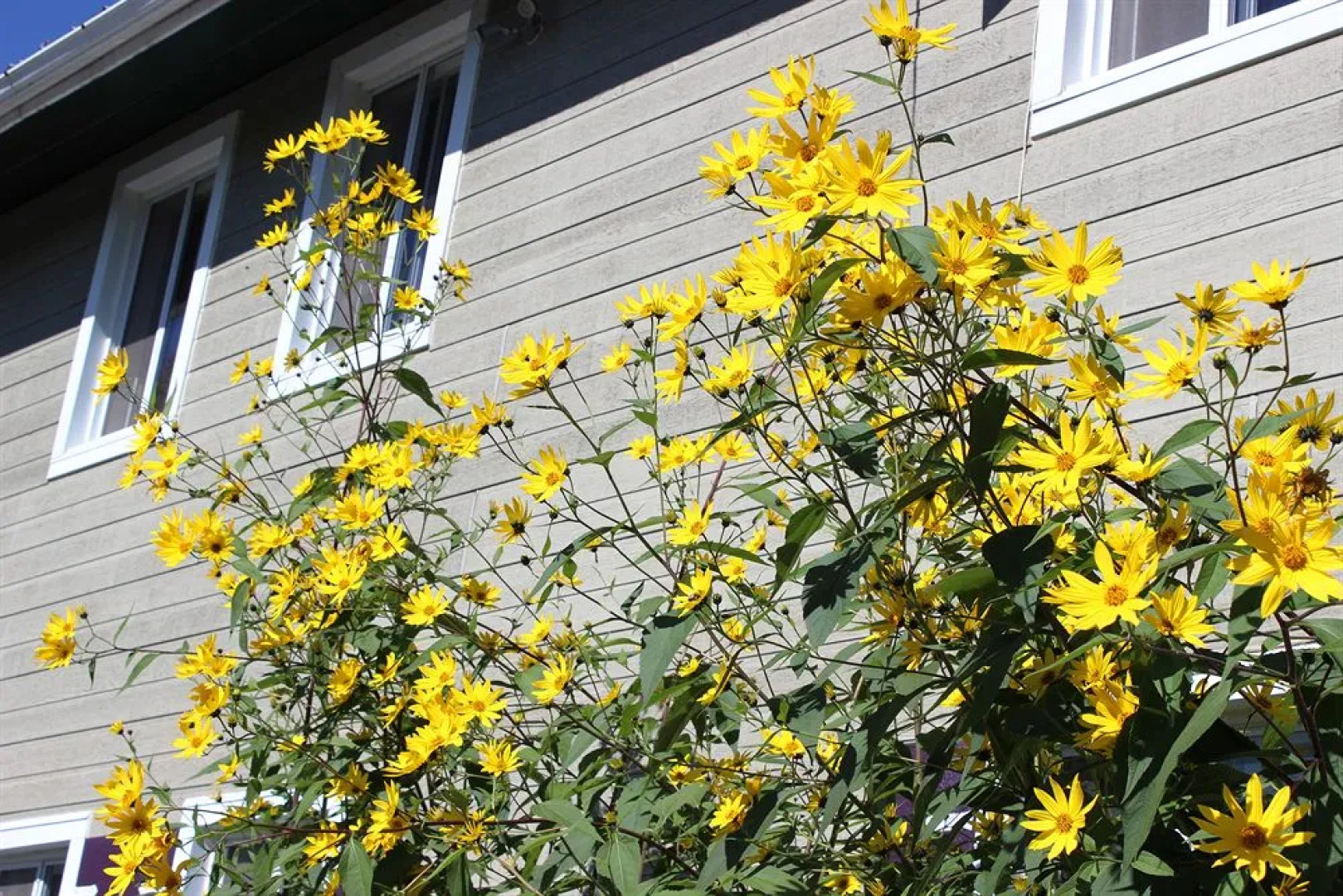 Auberge La Belle Verte