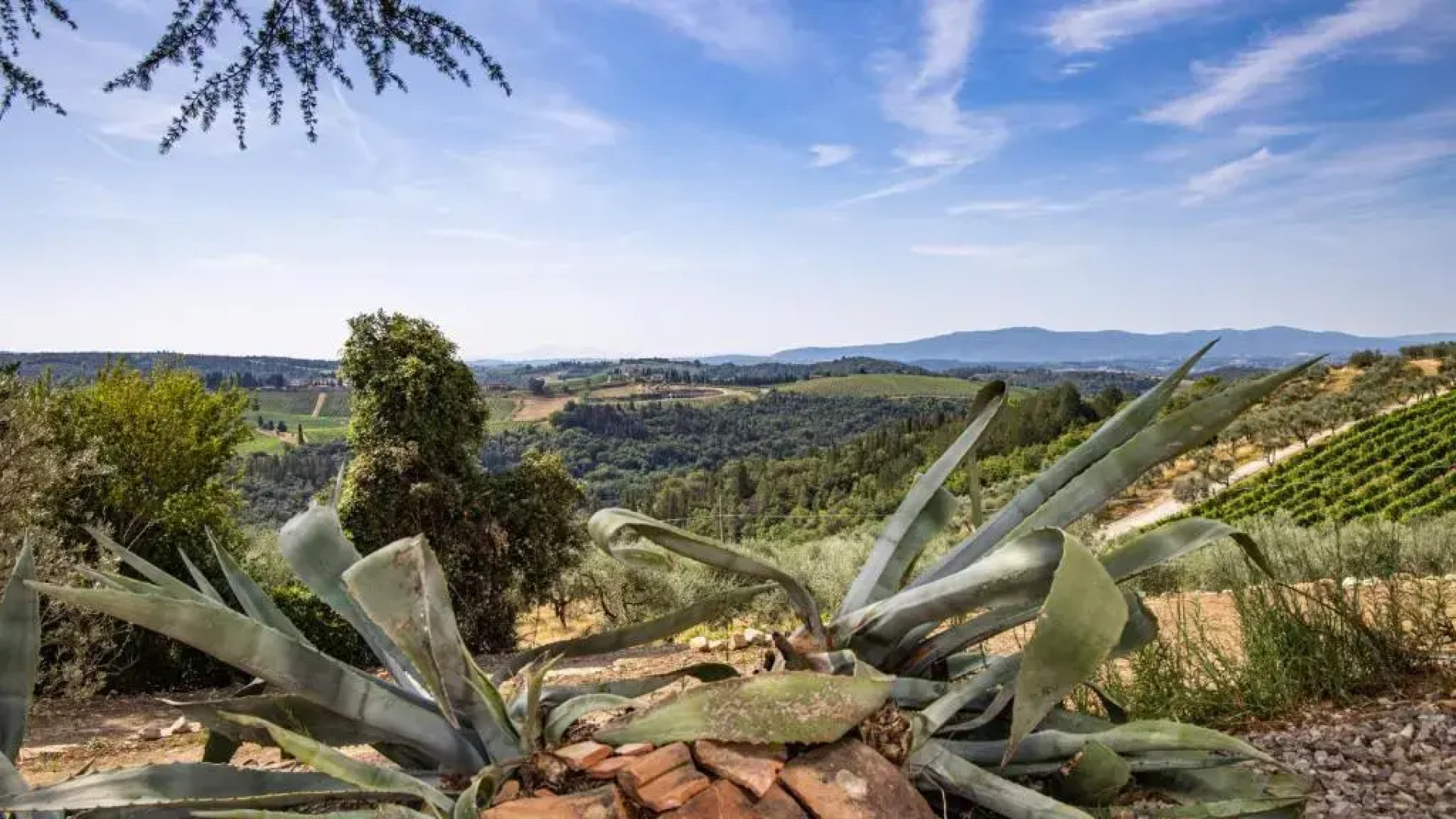 Si-g752-sdto0at - Tenuta di Macericca 10