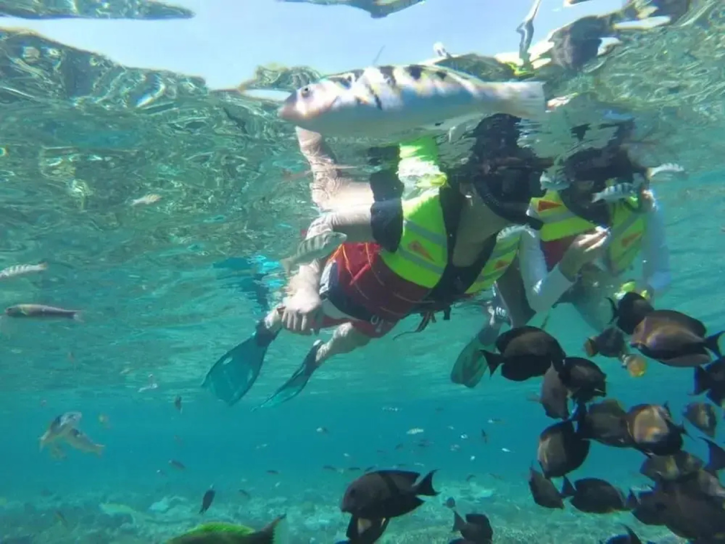 Genta Villa Ceningan