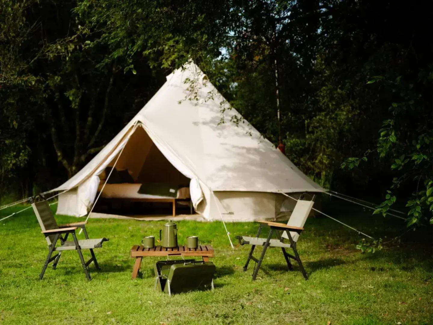 The Forest at Mount Congreve Gardens