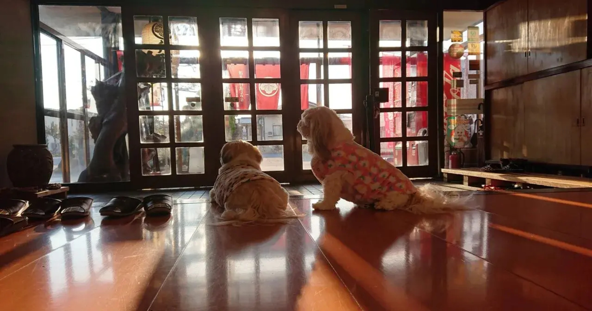 Akayu Onsen Masugataya Ryokan