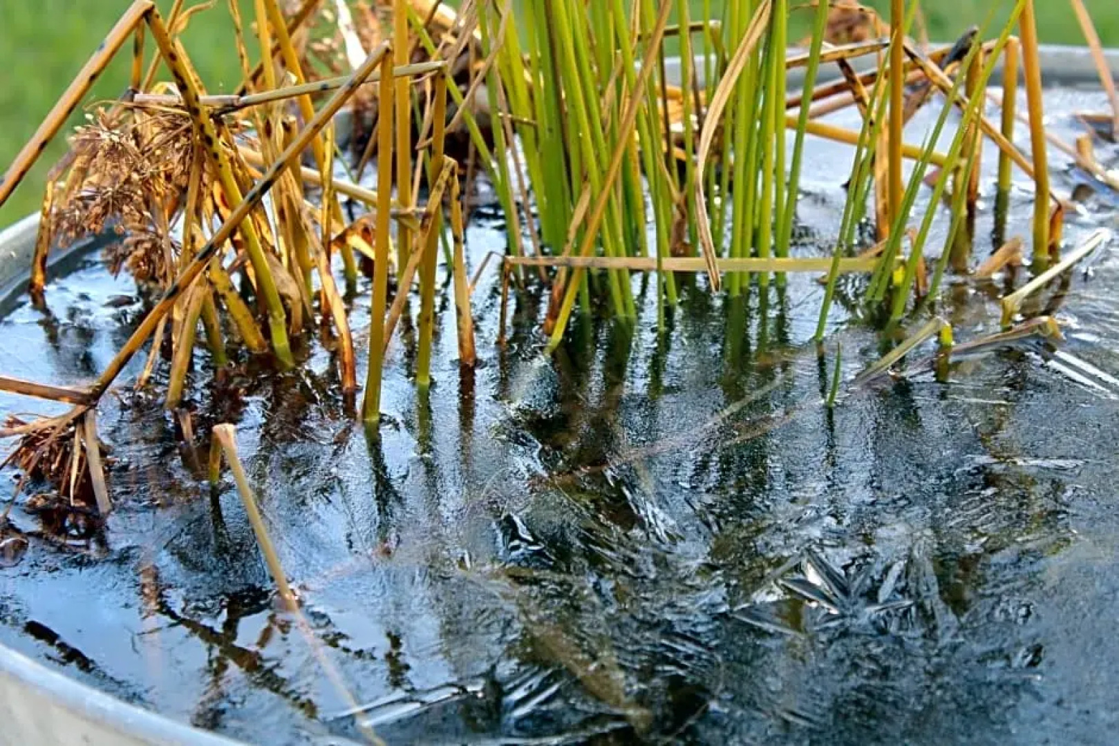 Carpe Diem - Bnb - Chambres dhôtes