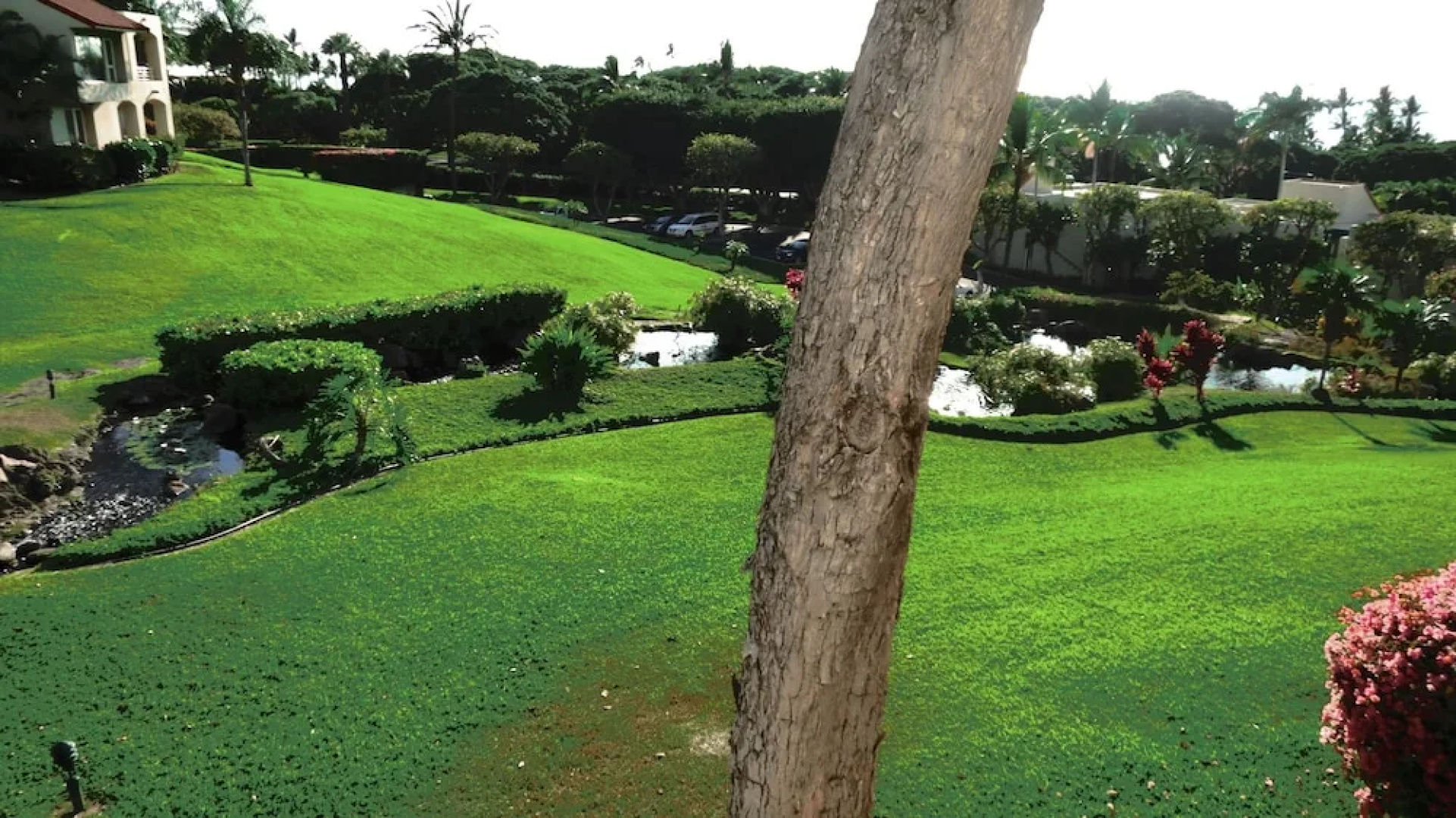 Palms at Wailea #1204