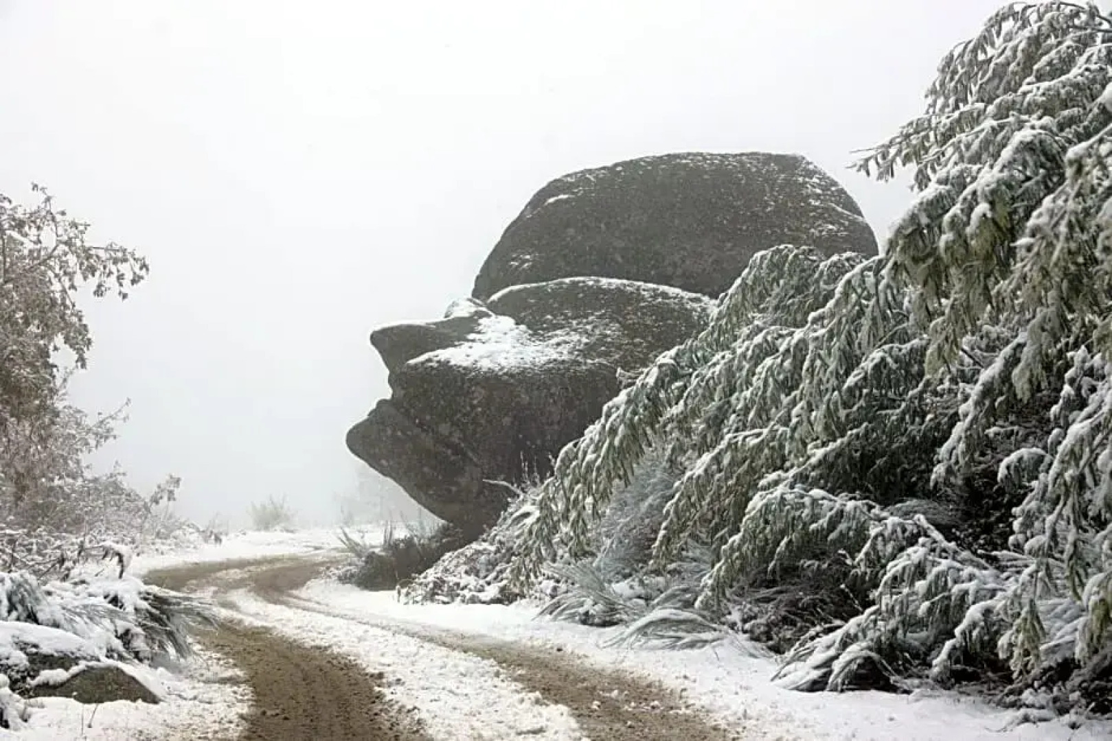 LOBOS VILLAGE - Alojamento