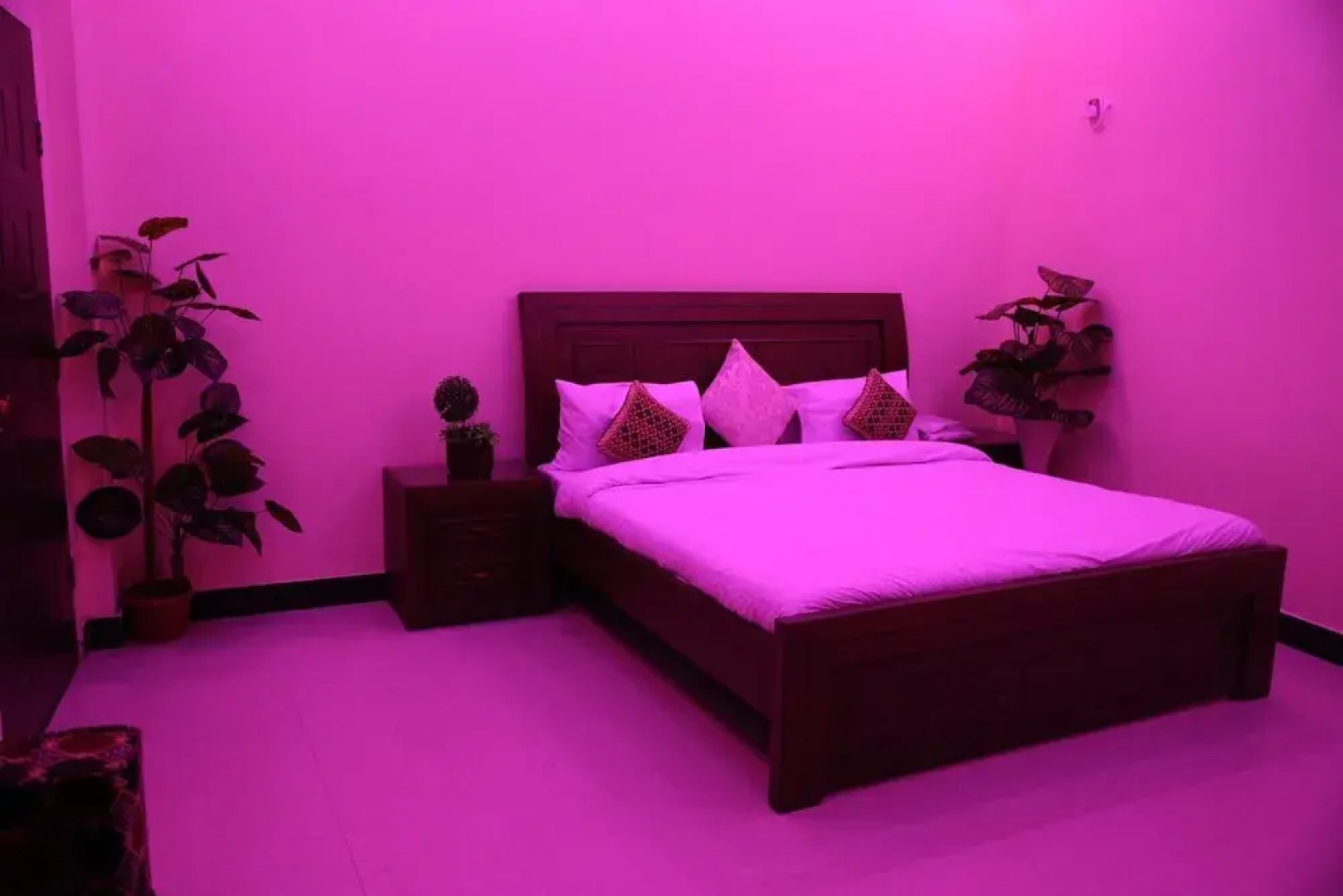 Hotel Paradise Lounge