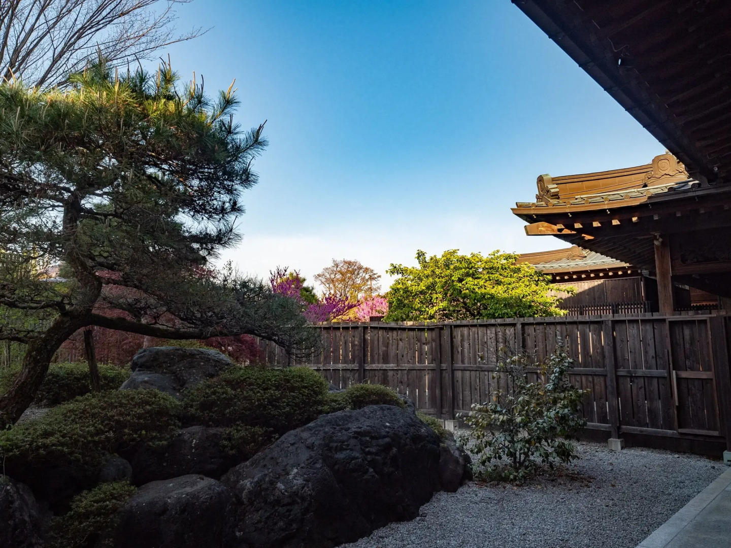 Отель Fuji Onsenji Yumedono 