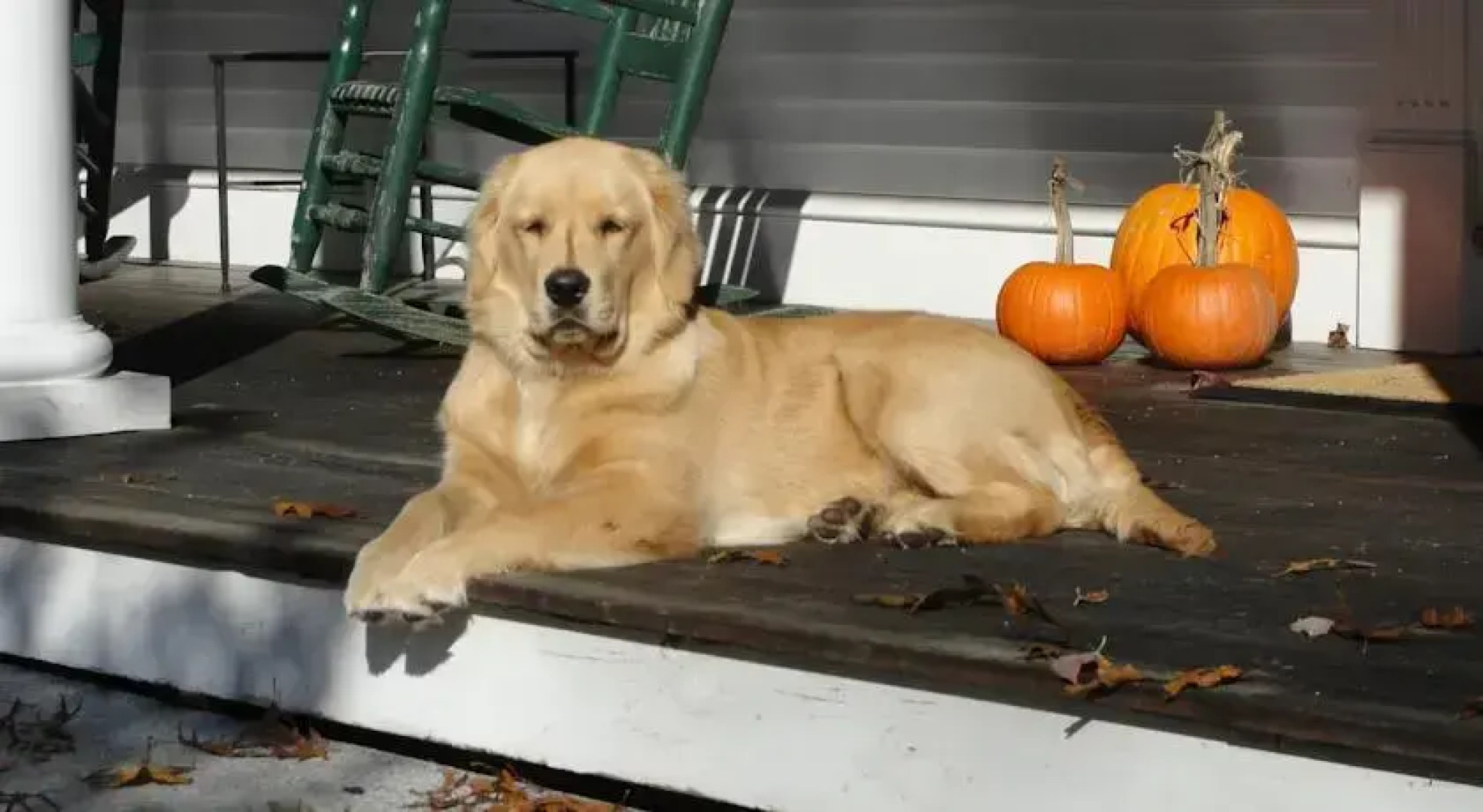 Fox Pond Bed and Breakfast