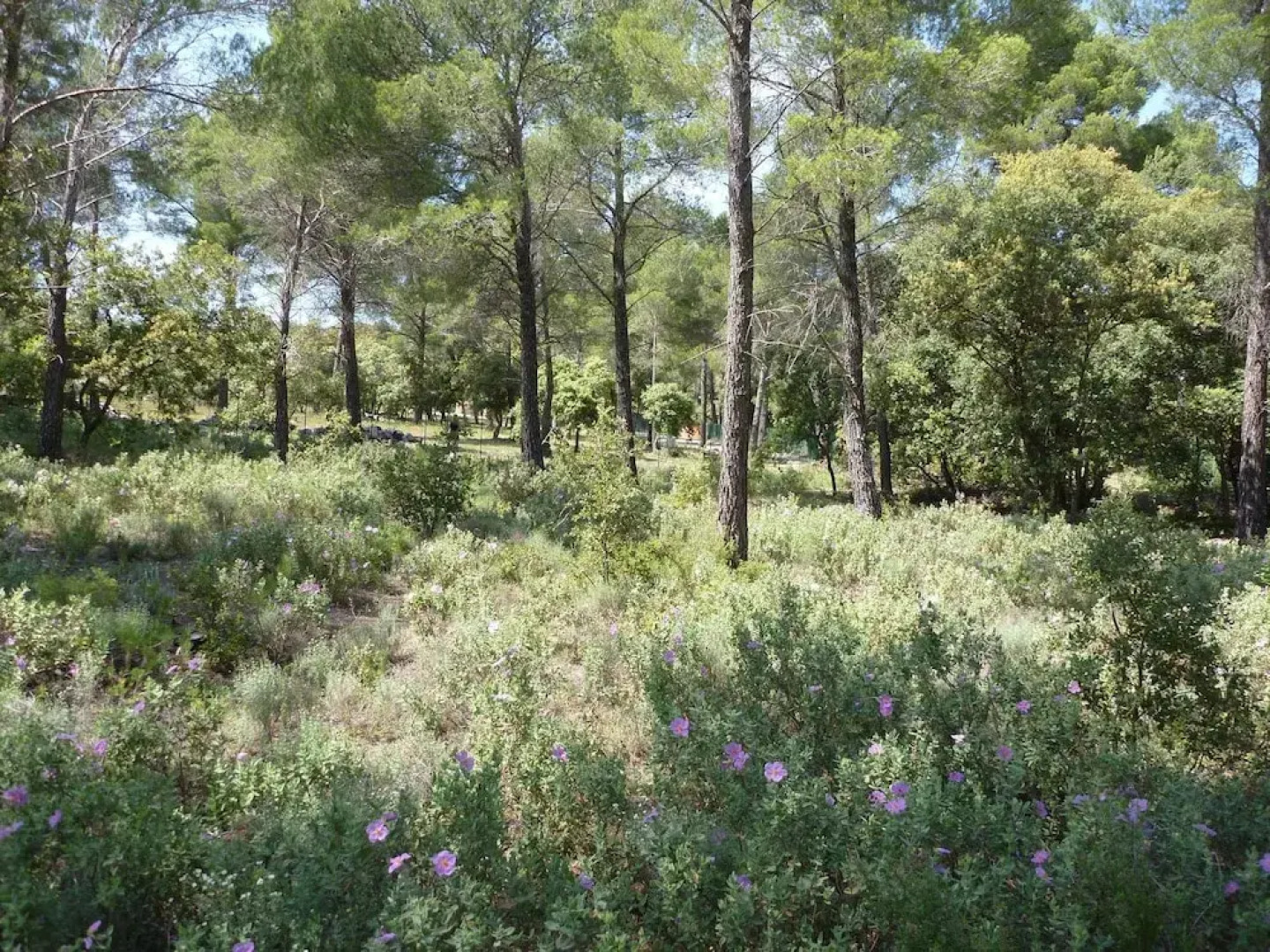 House With one Bedroom in Saint-marc-jaumegarde, With Pool Access, Enc