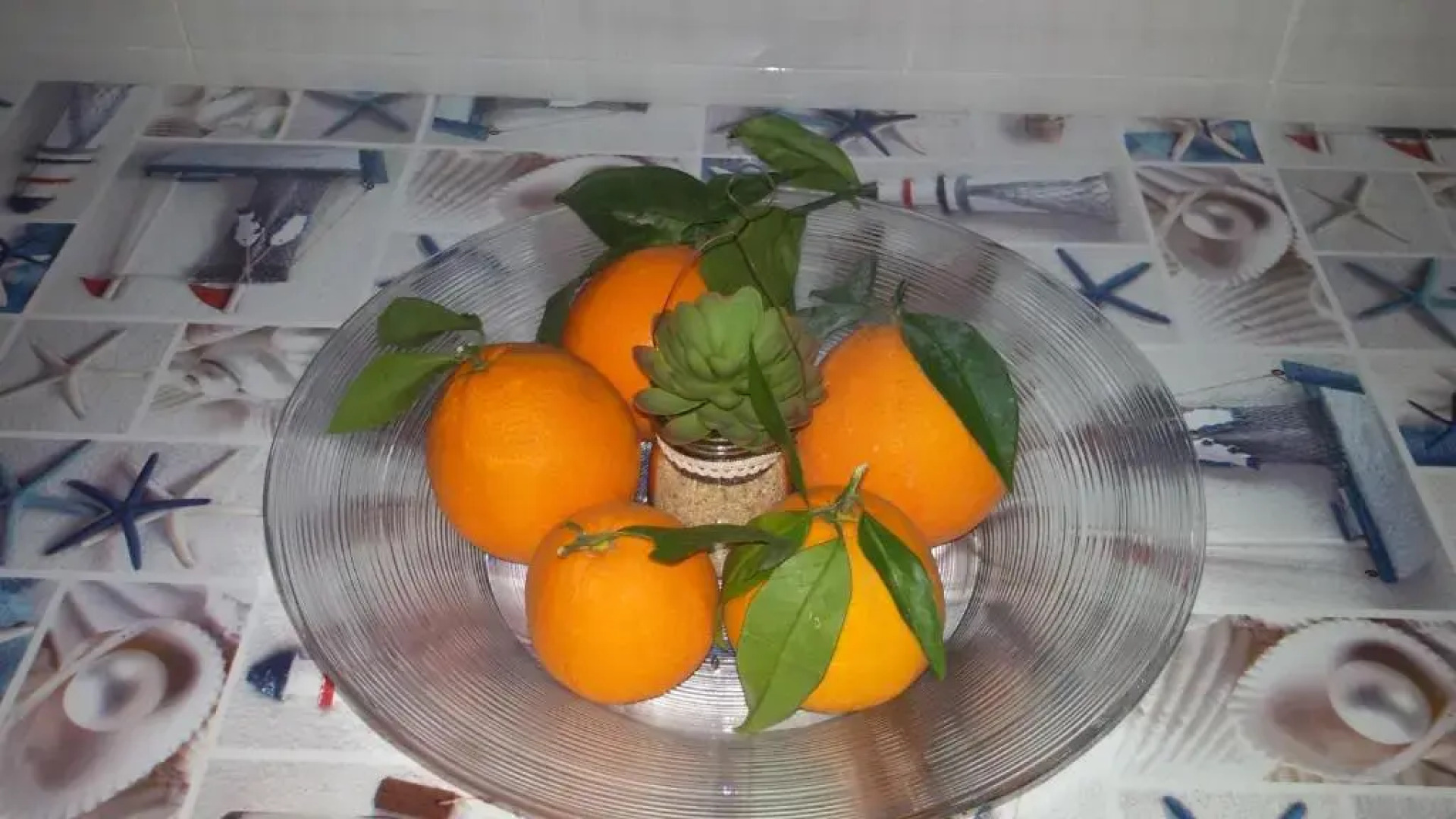 Apartment La Conchiglia