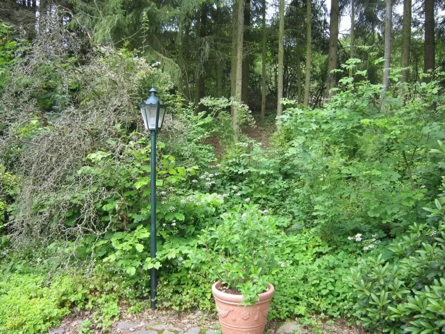 Strotzbusch Forest Hideaway