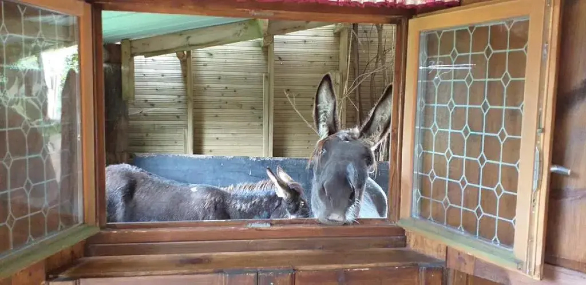 Ecuries Leseigneur - Camping Insolites