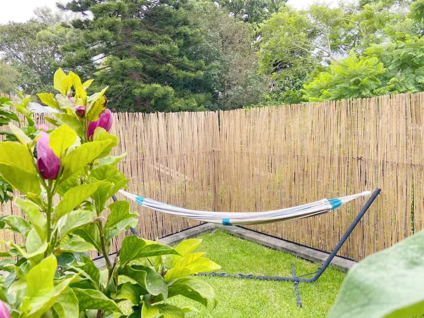 Treeview - A Beautiful 3-bed House in Kiama