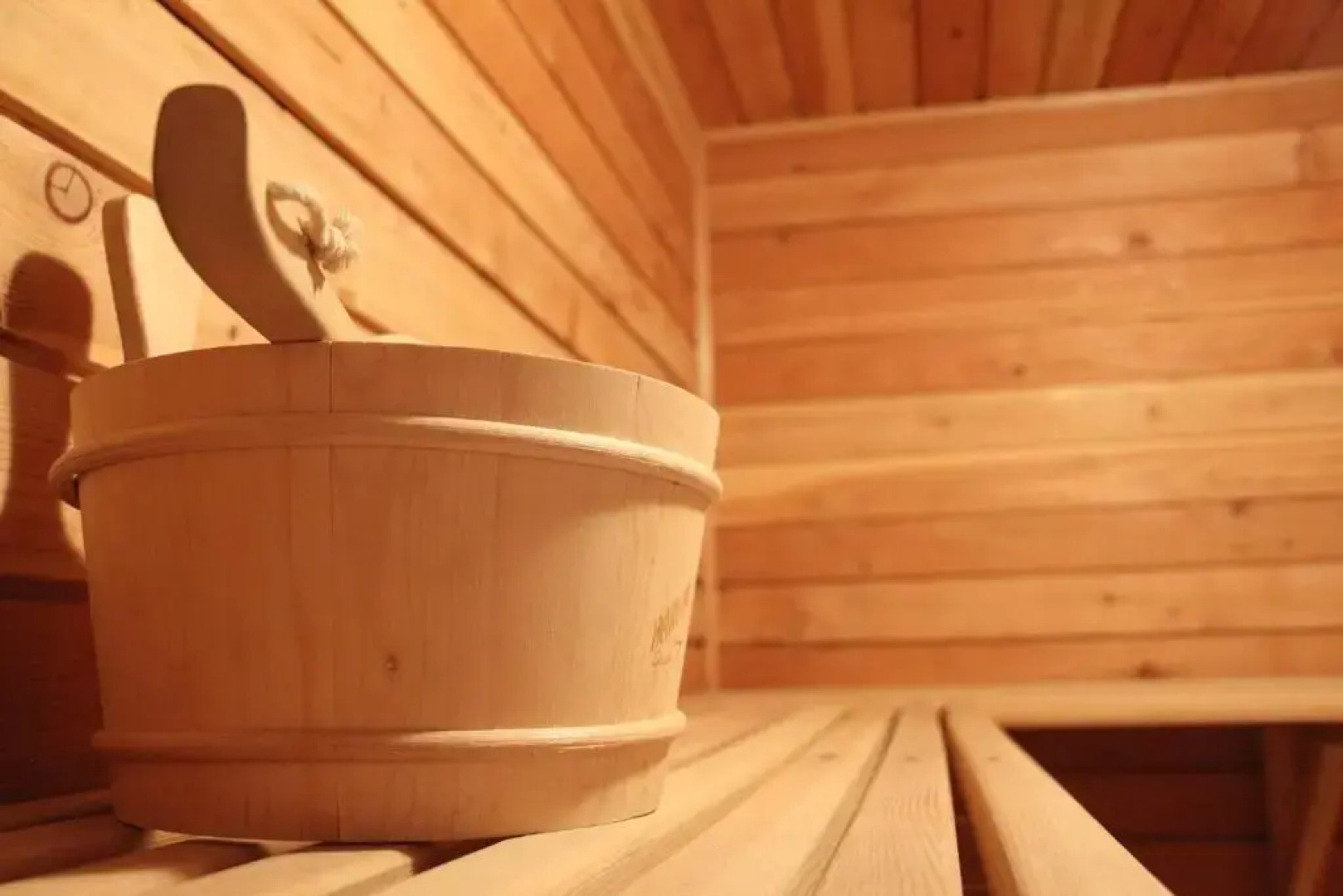 Pensiunea Mușatinii