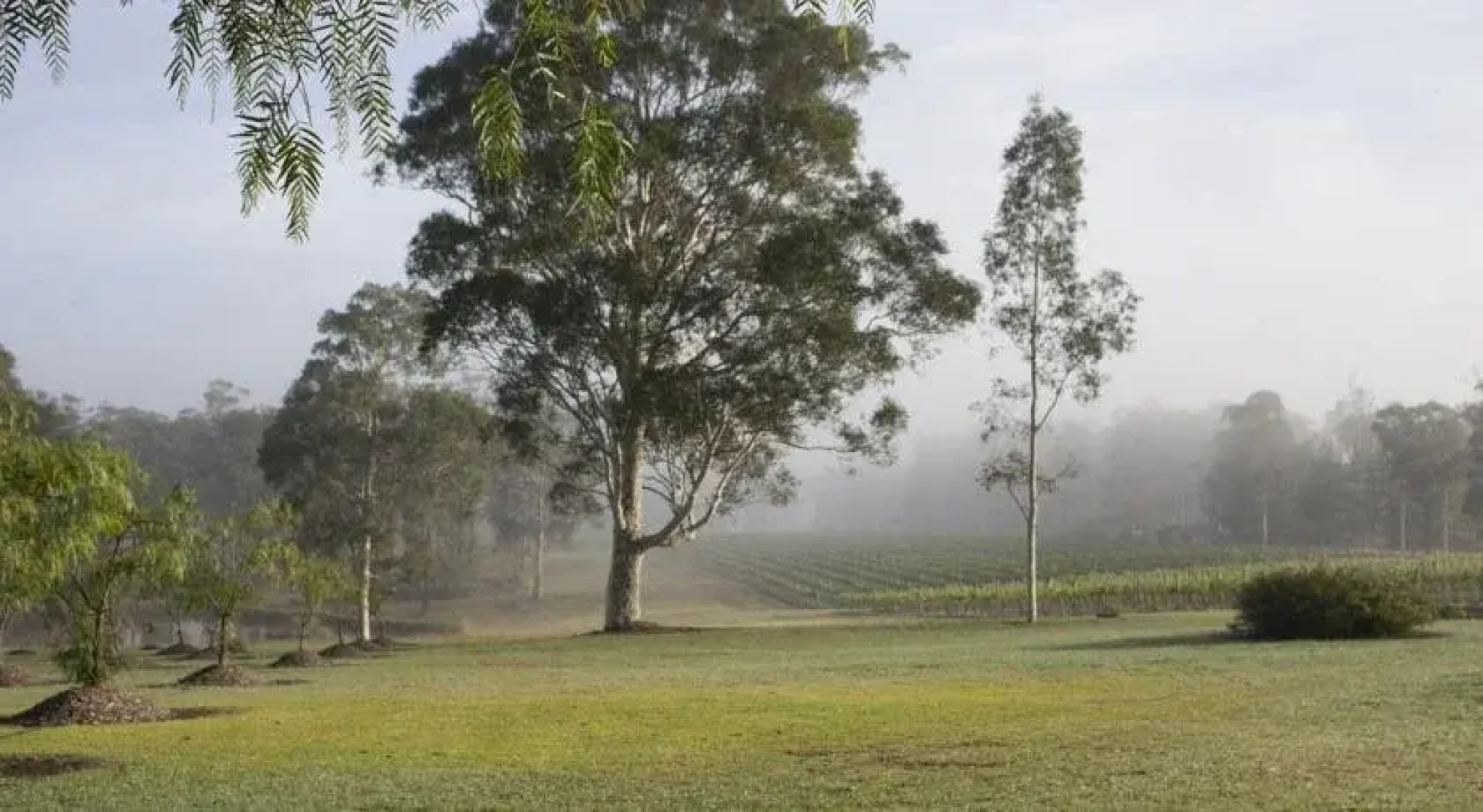 Vinden Estate Homestead