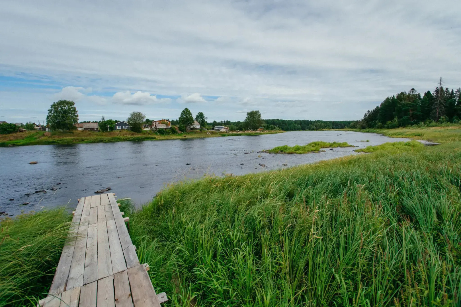 Сова Шуйский Залив