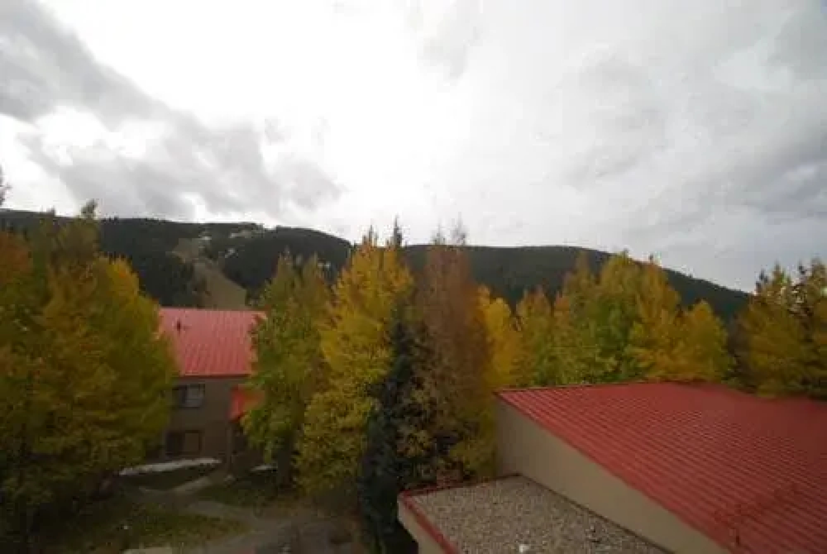 Ski Run by Key to the Rockies