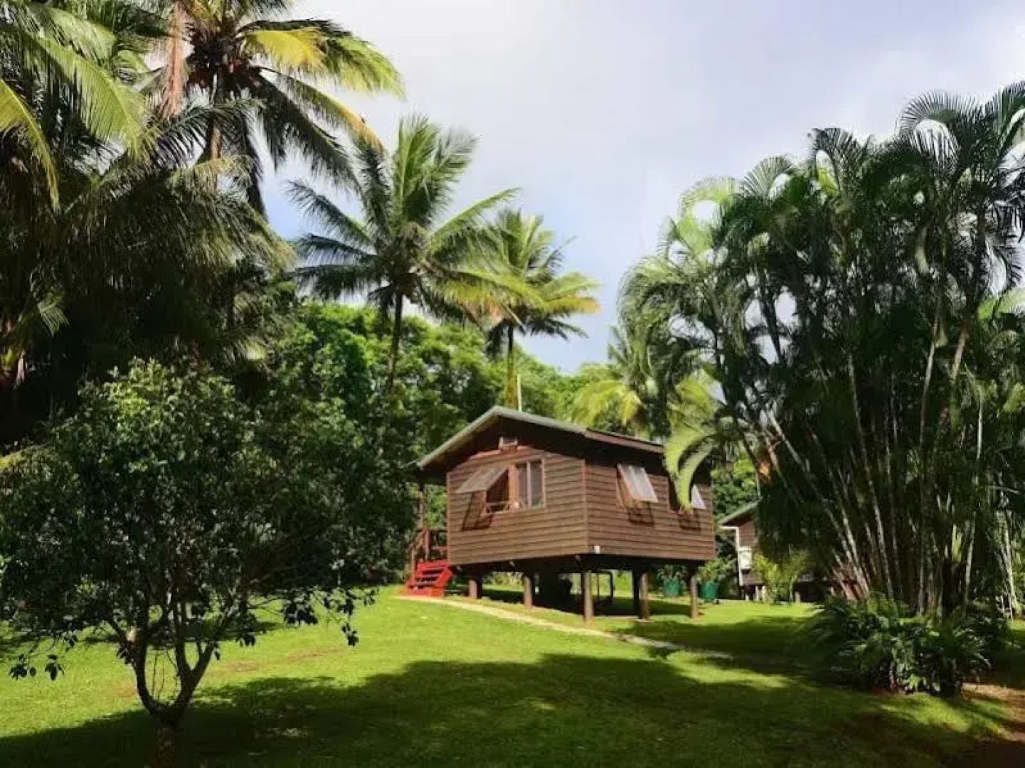 Daintree Rainforest Bungalows