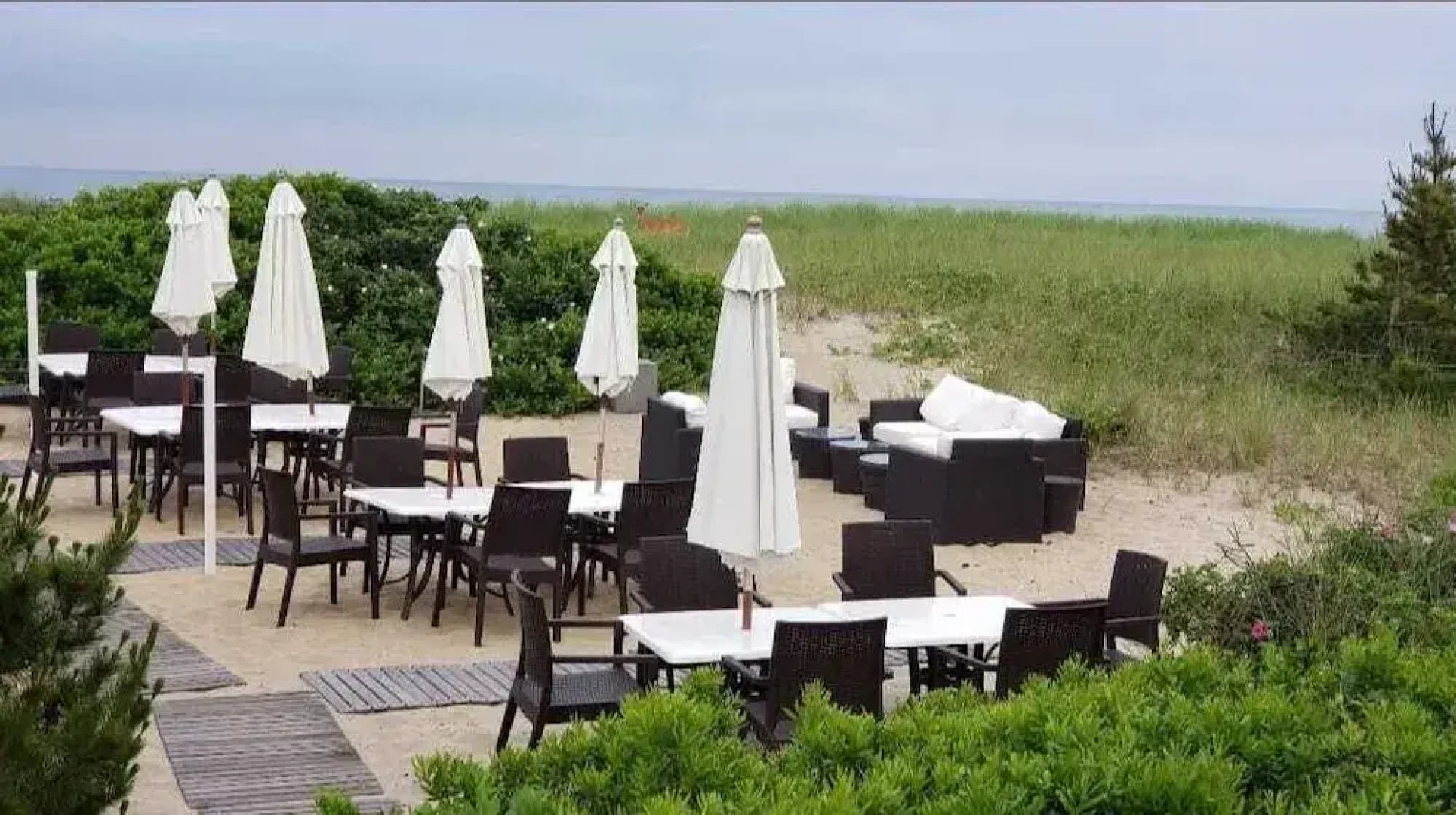 The Summer House Cottages