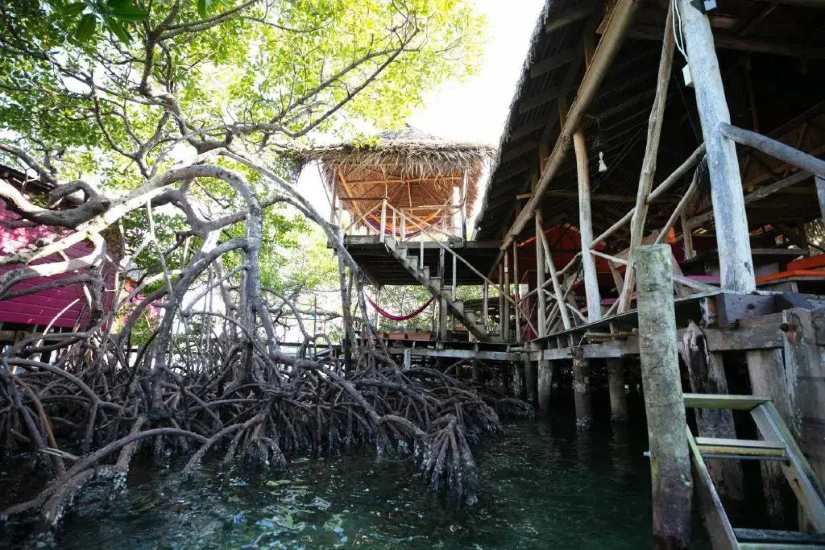 Urraca Monkey Island Eco Resort