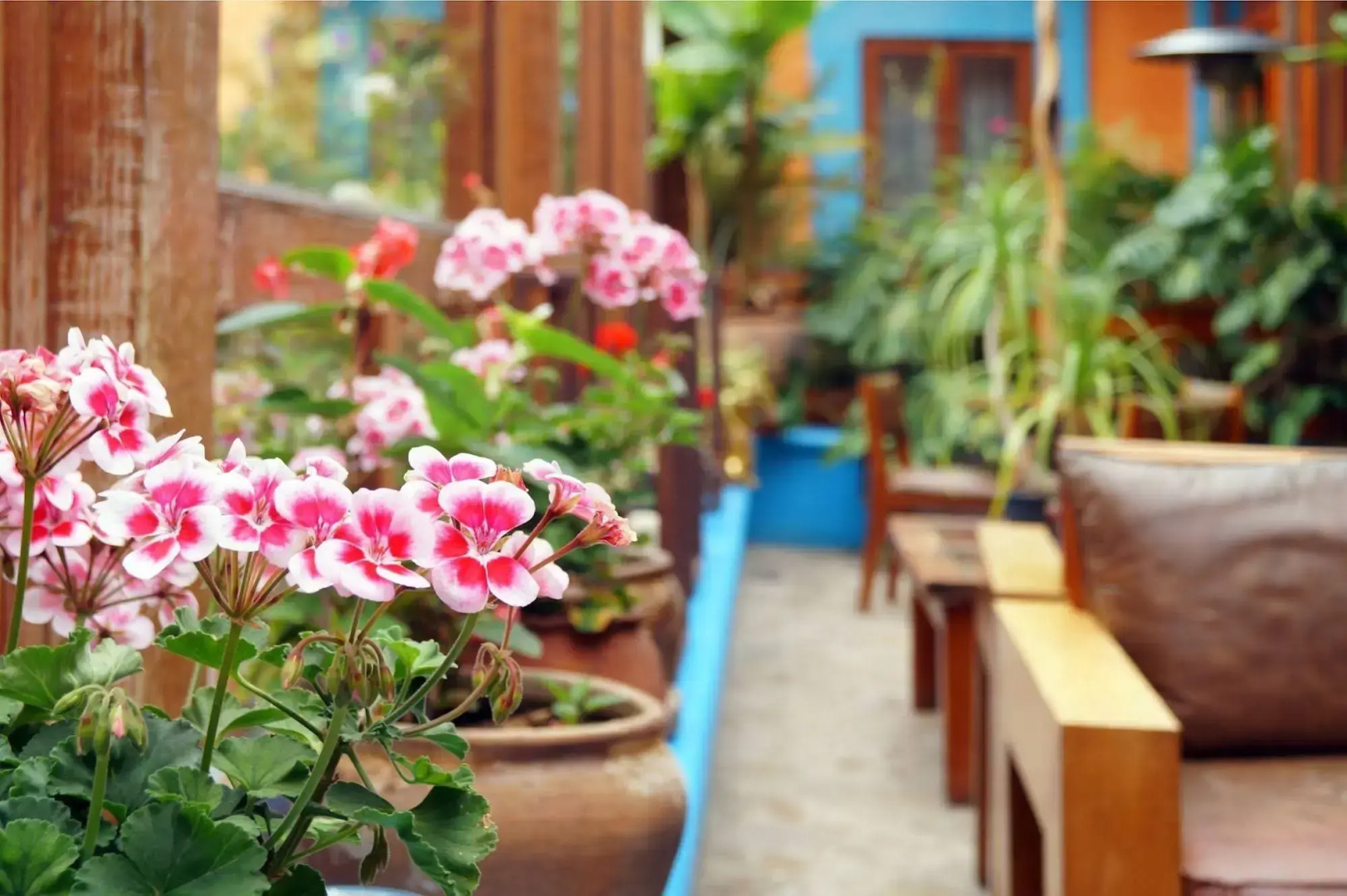 Hotel Posada El Paraíso