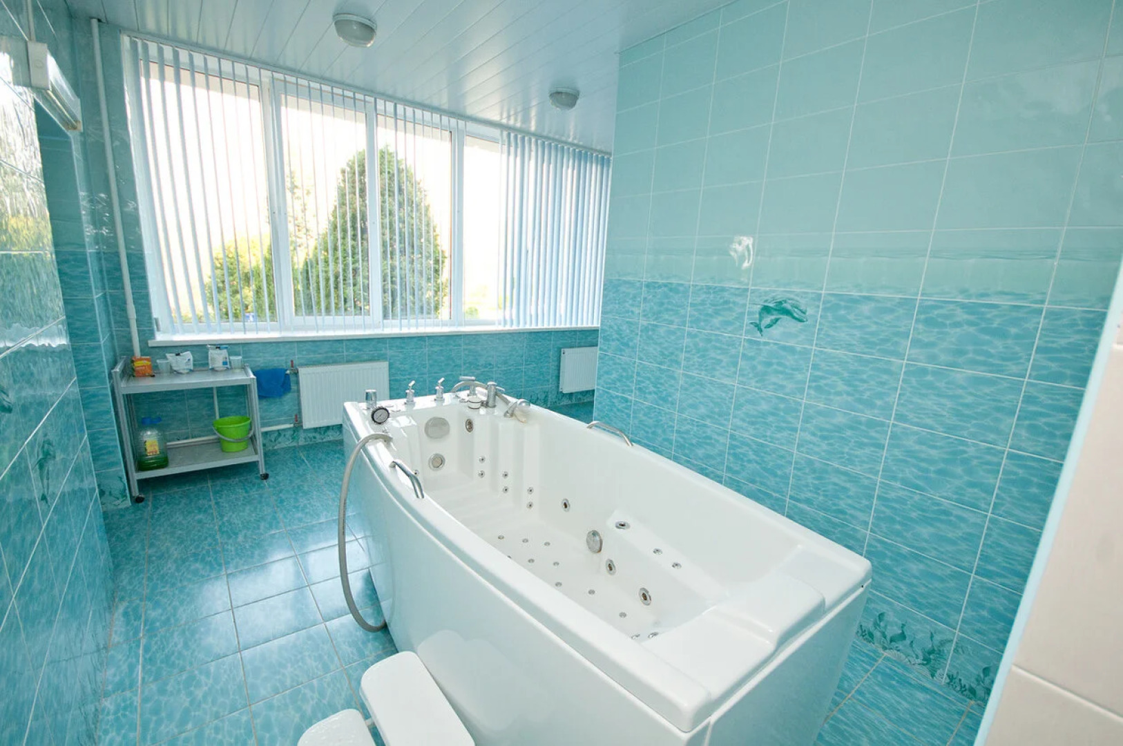 Спа-курорт Orchestra Oka