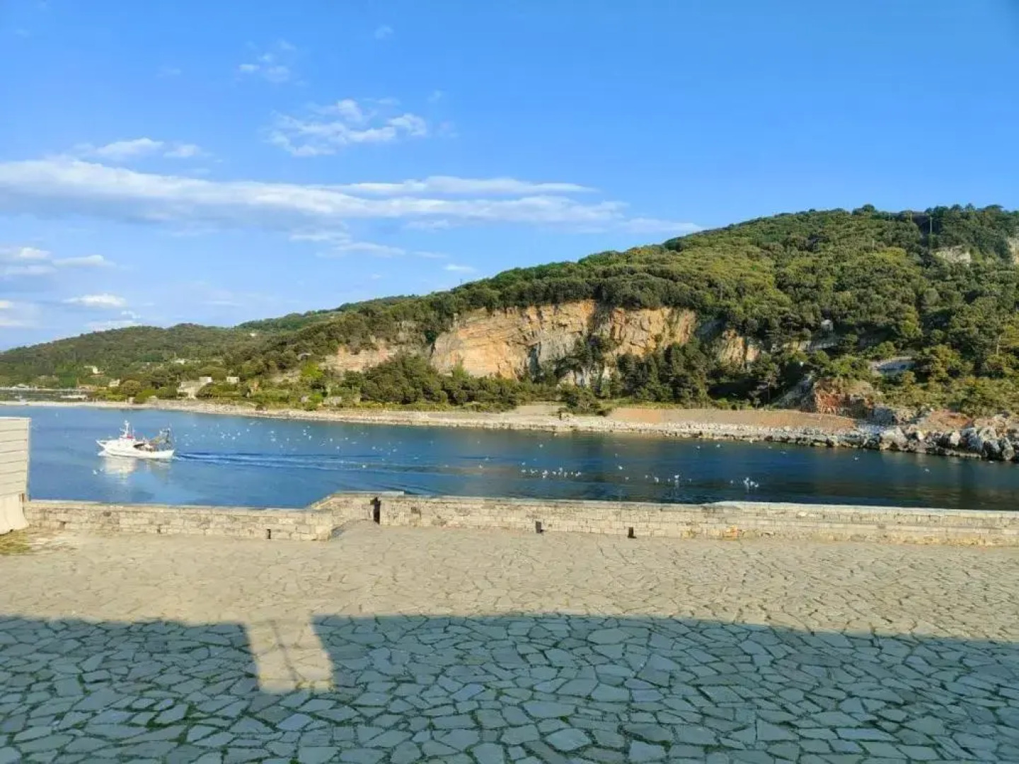 Appartamento Olivo 229