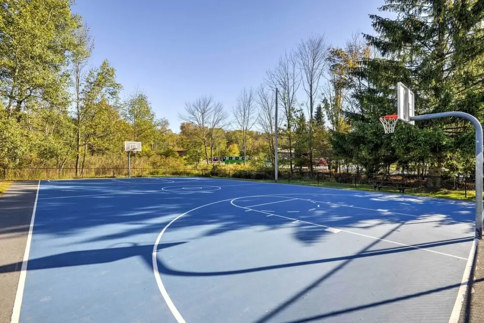 Near Skiing: Lake Ariel Gem w/ Fire Pit!